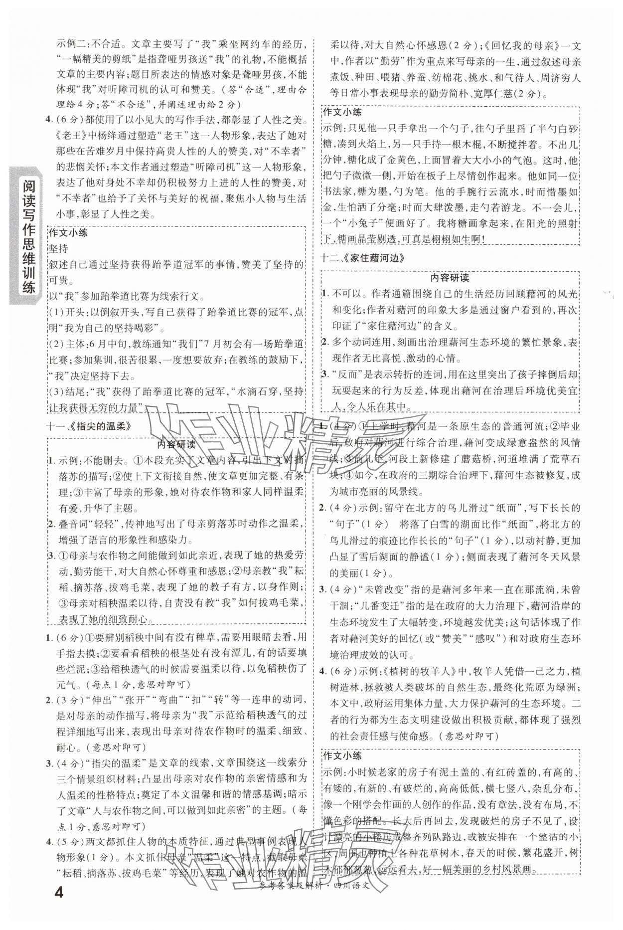 2024年一戰(zhàn)成名新中考語文四川專版&nbsp;第4頁