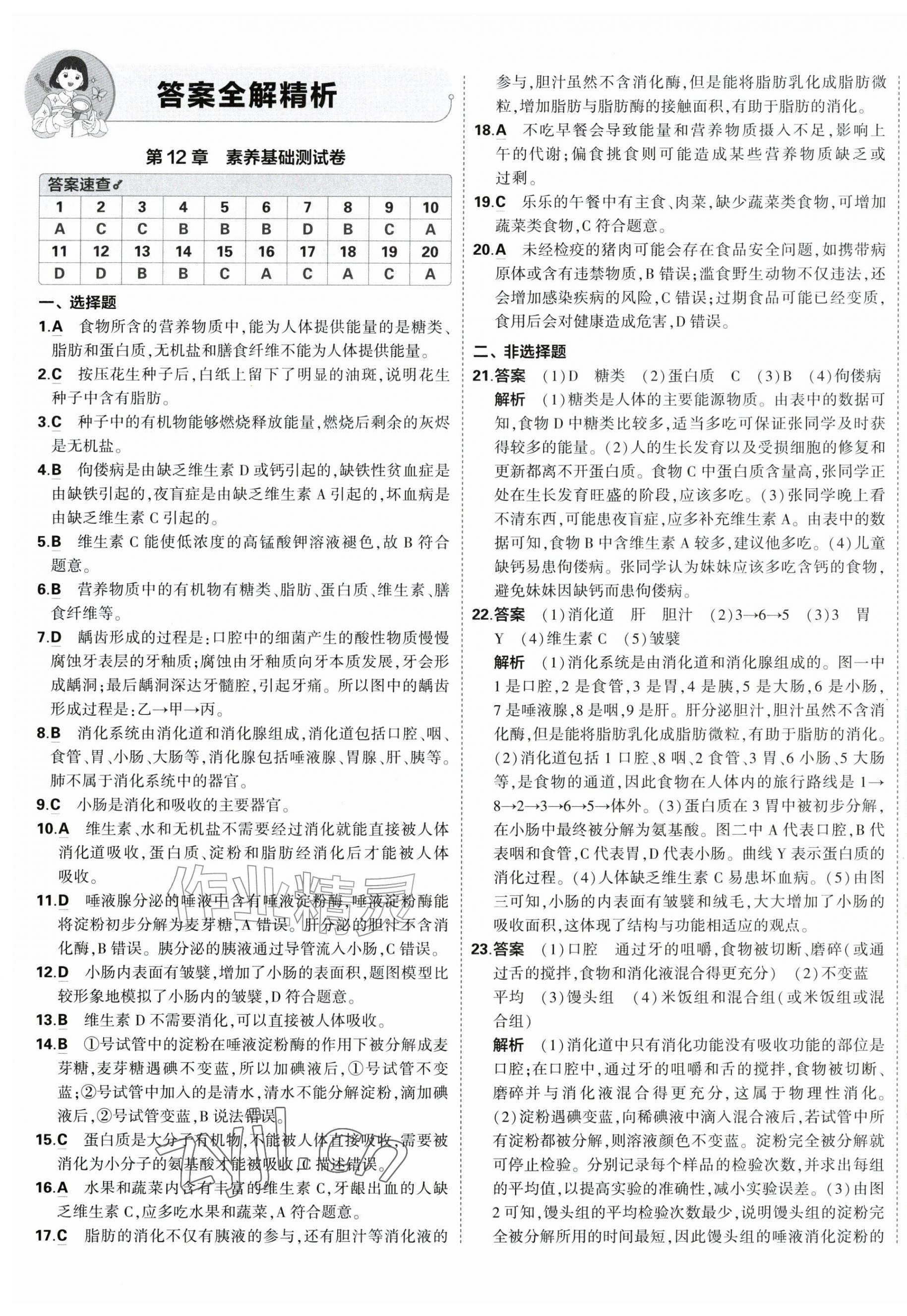 2026年5年中考3年模拟初中试卷八年级生物上册苏教版&nbsp;第1页