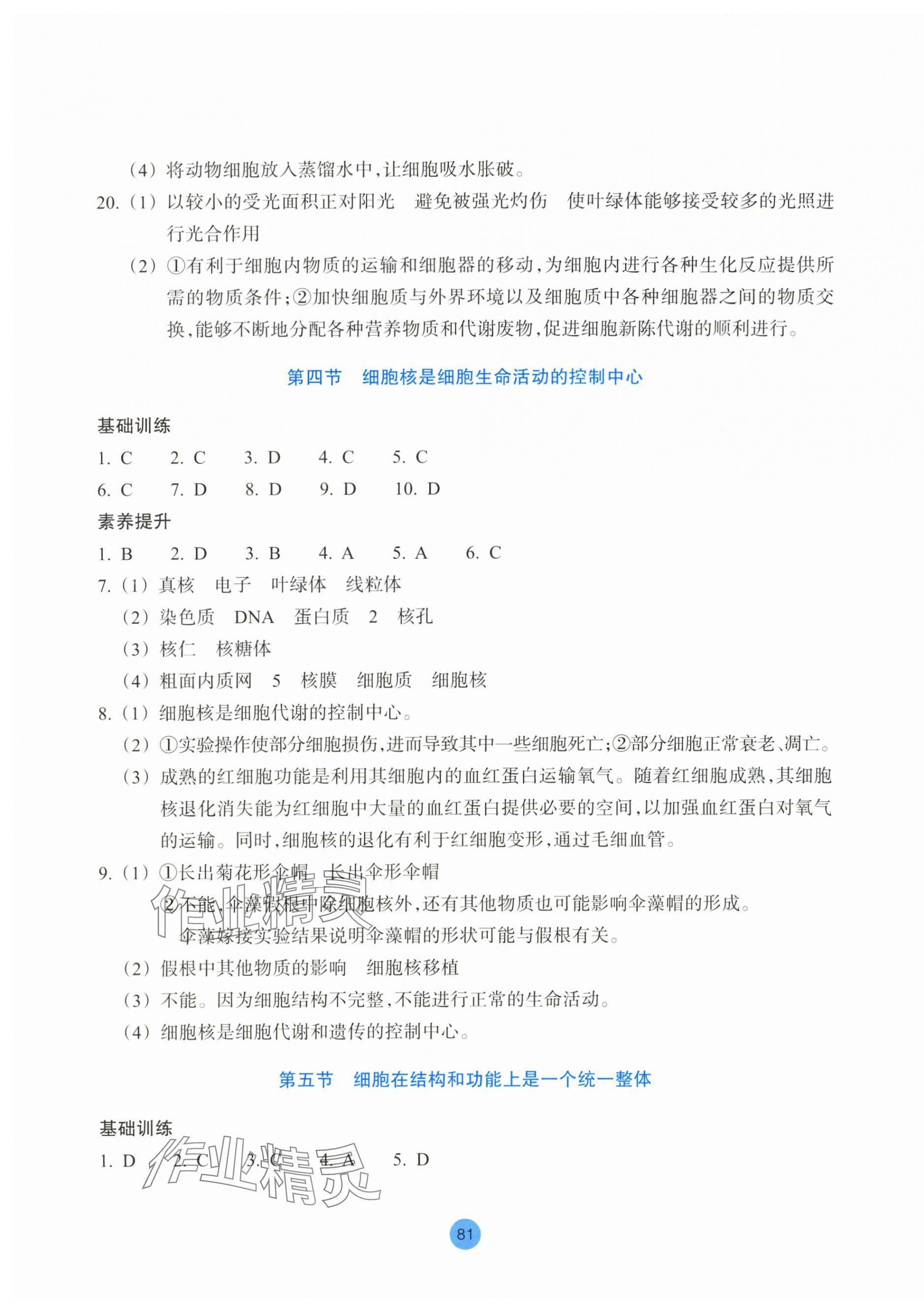 2025年作业本浙江教育出版社高中生物必修1浙科版&nbsp;第5页