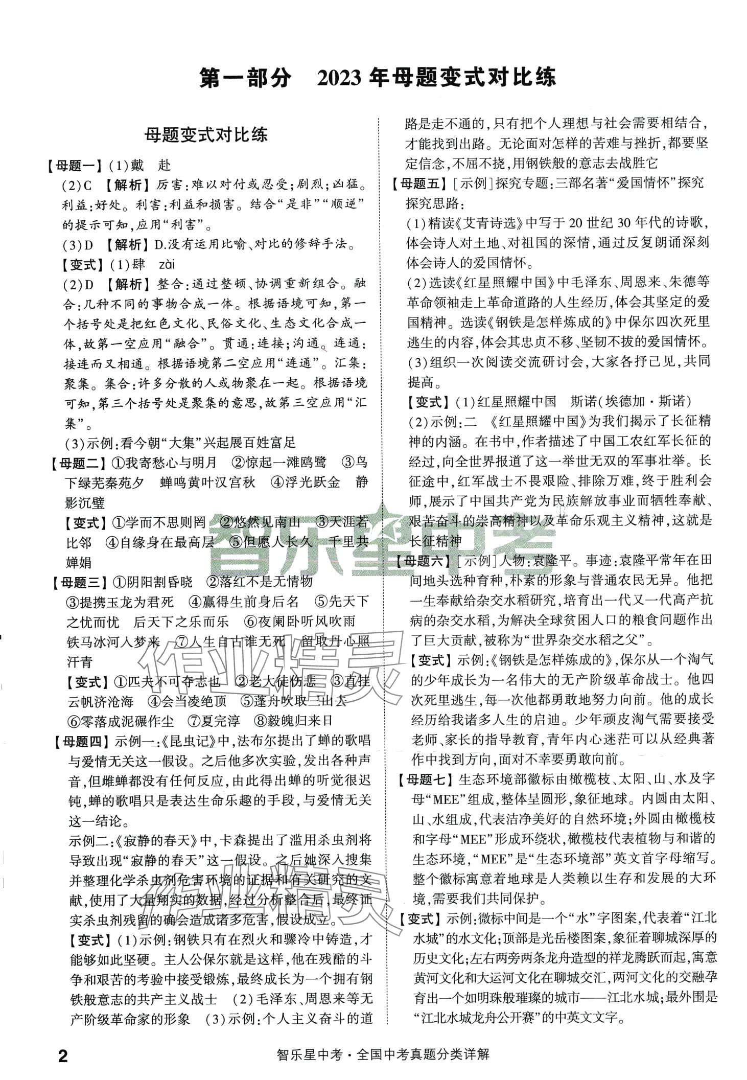 2024年智乐星中考真题分类语文中考 第4页