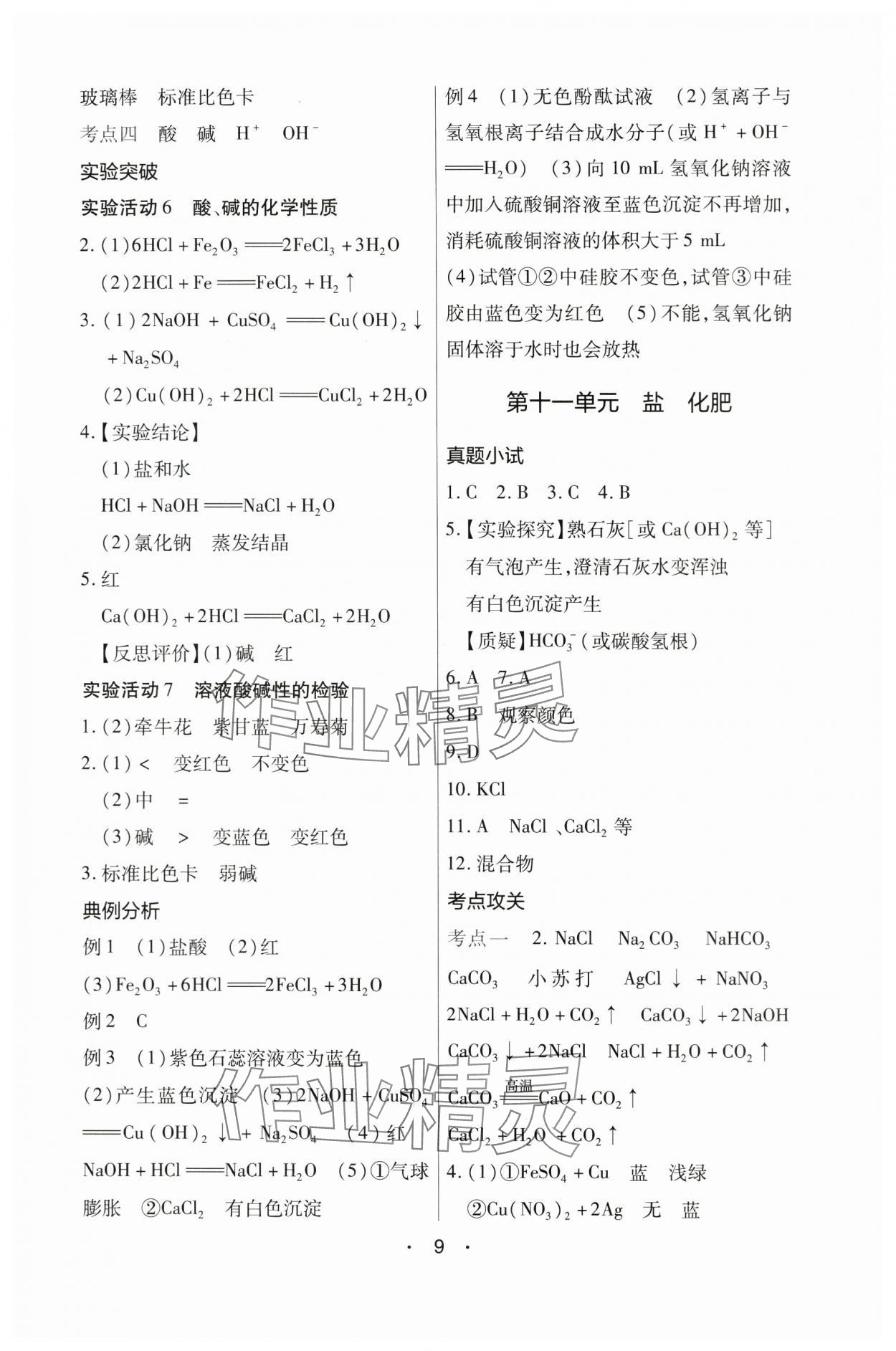 2024年中考新评价化学江西专版 第9页