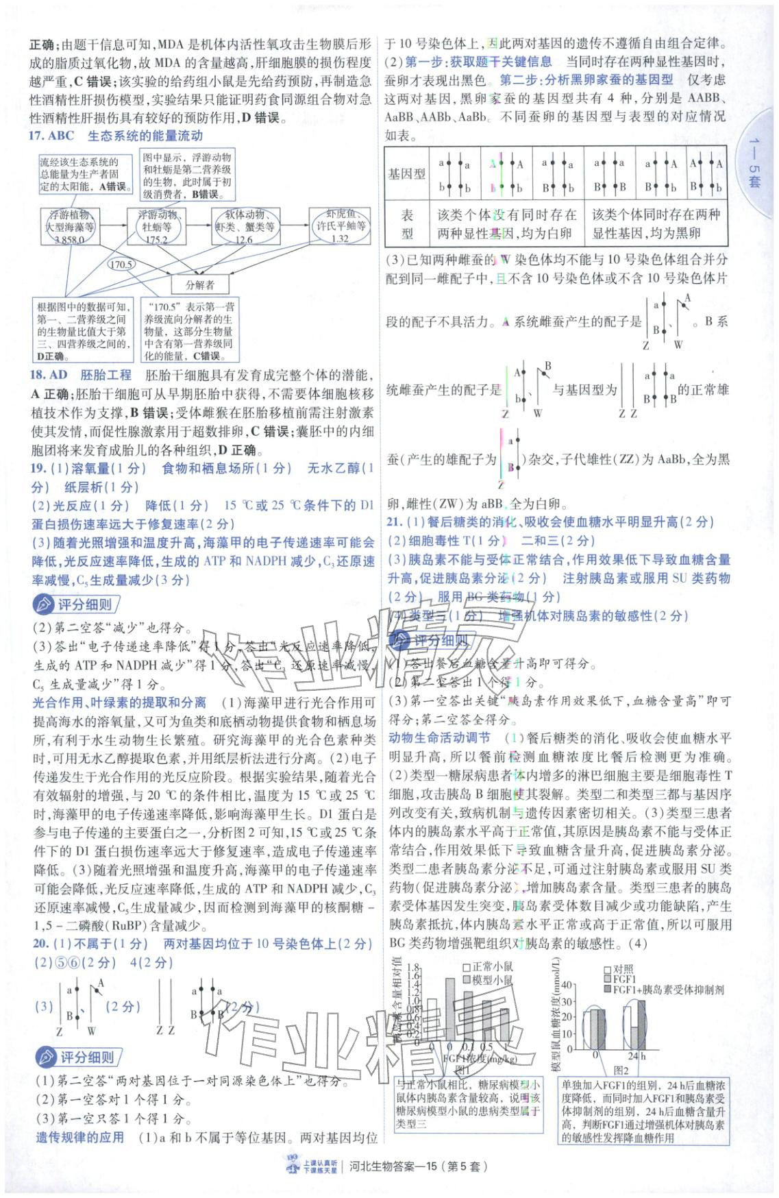2026年金考卷优秀模拟试卷汇编45套高中生物河北专版 第15页