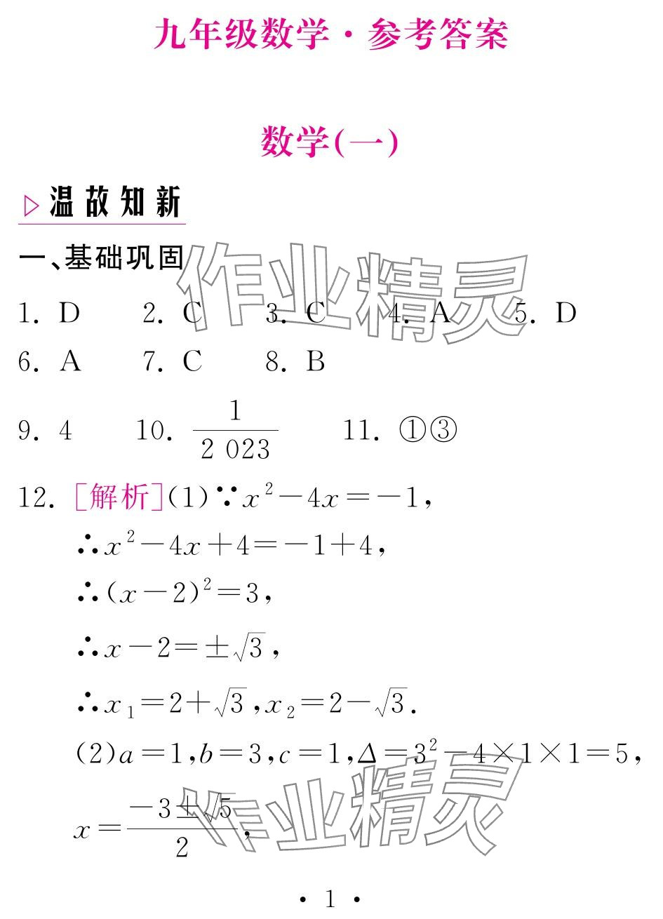 2024年天舟文化精彩寒假團(tuán)結(jié)出版社九年級數(shù)學(xué)人教版 參考答案第1頁