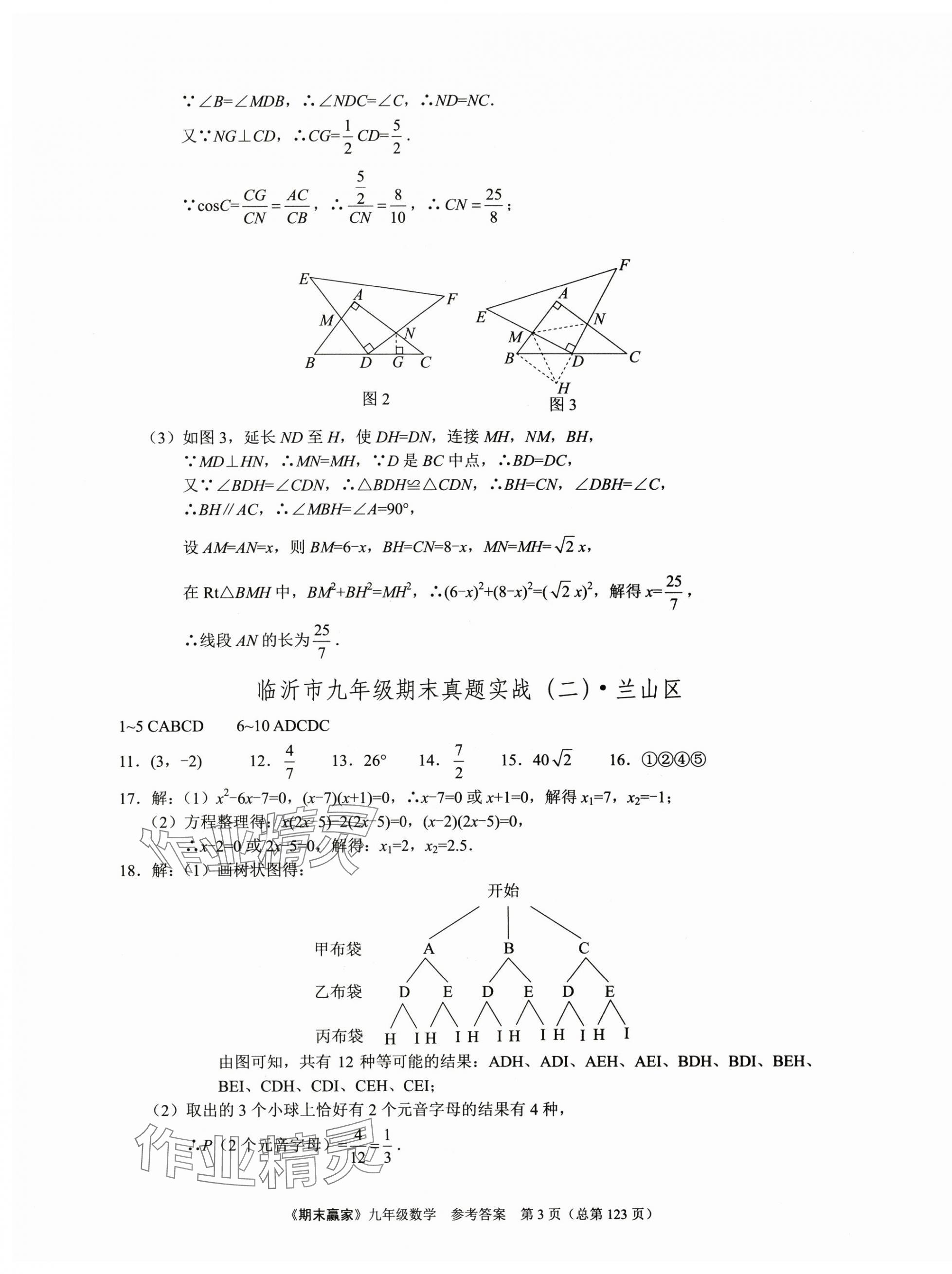 2024年期末赢家九年级数学全一册 第3页