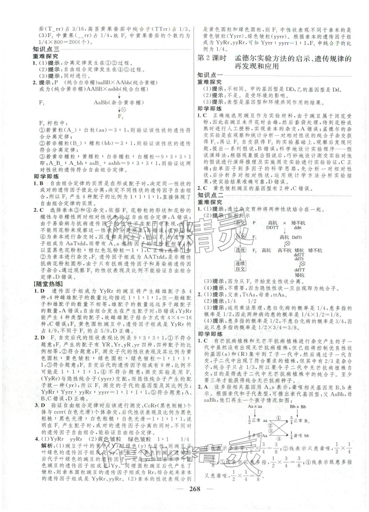 2025年三维设计高中生物必修第二册通&nbsp;第4页