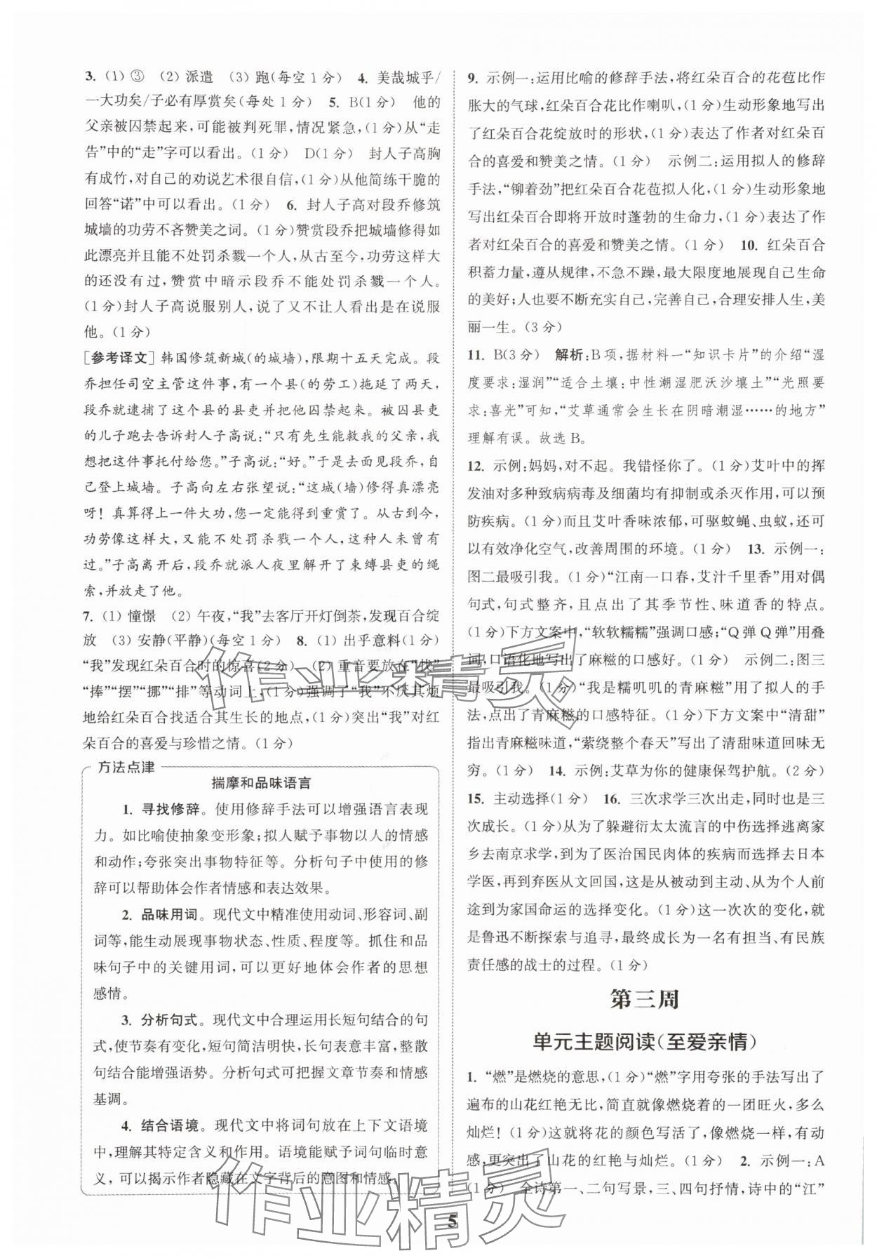 2025年通城学典周计划课外阅读训练七年级语文上册人教版 第5页
