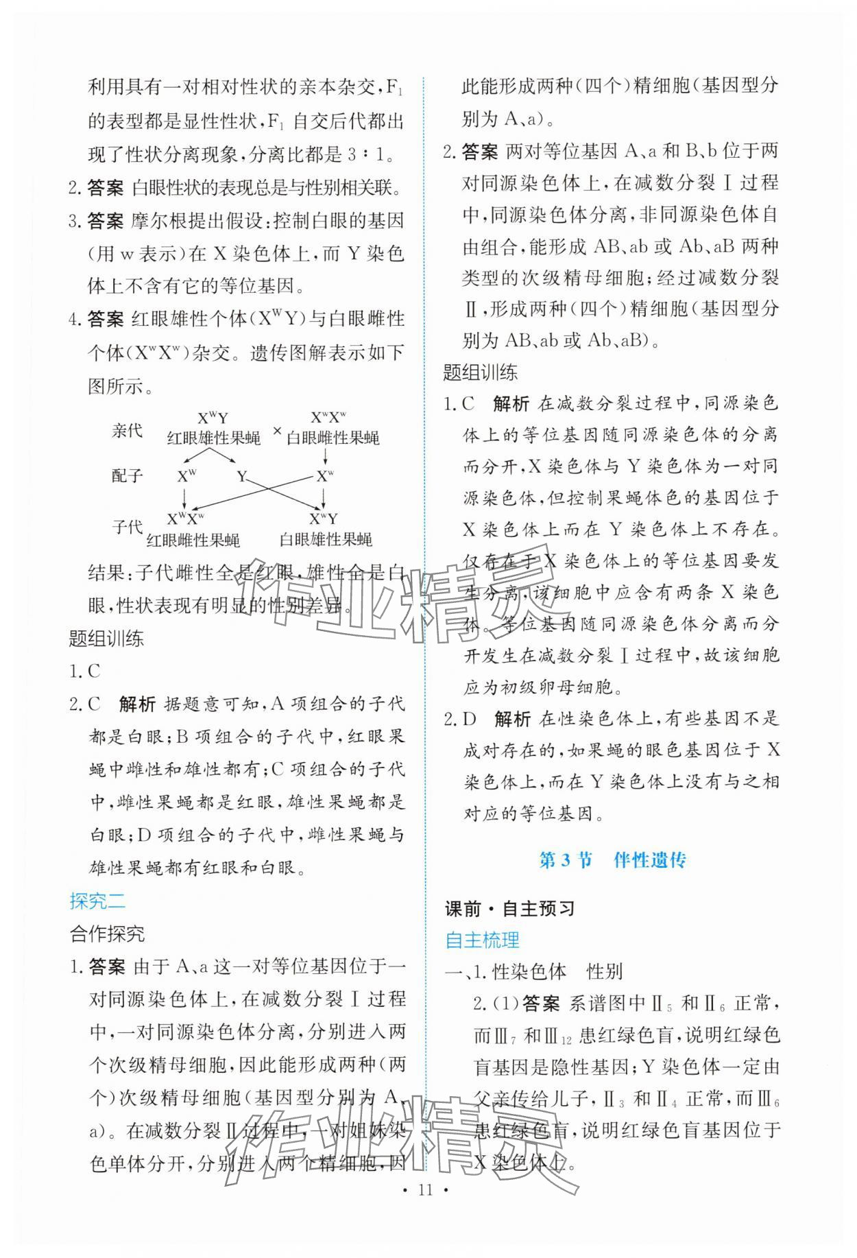 2025年能力培养与测试高中生物必修2人教版 参考答案第10页