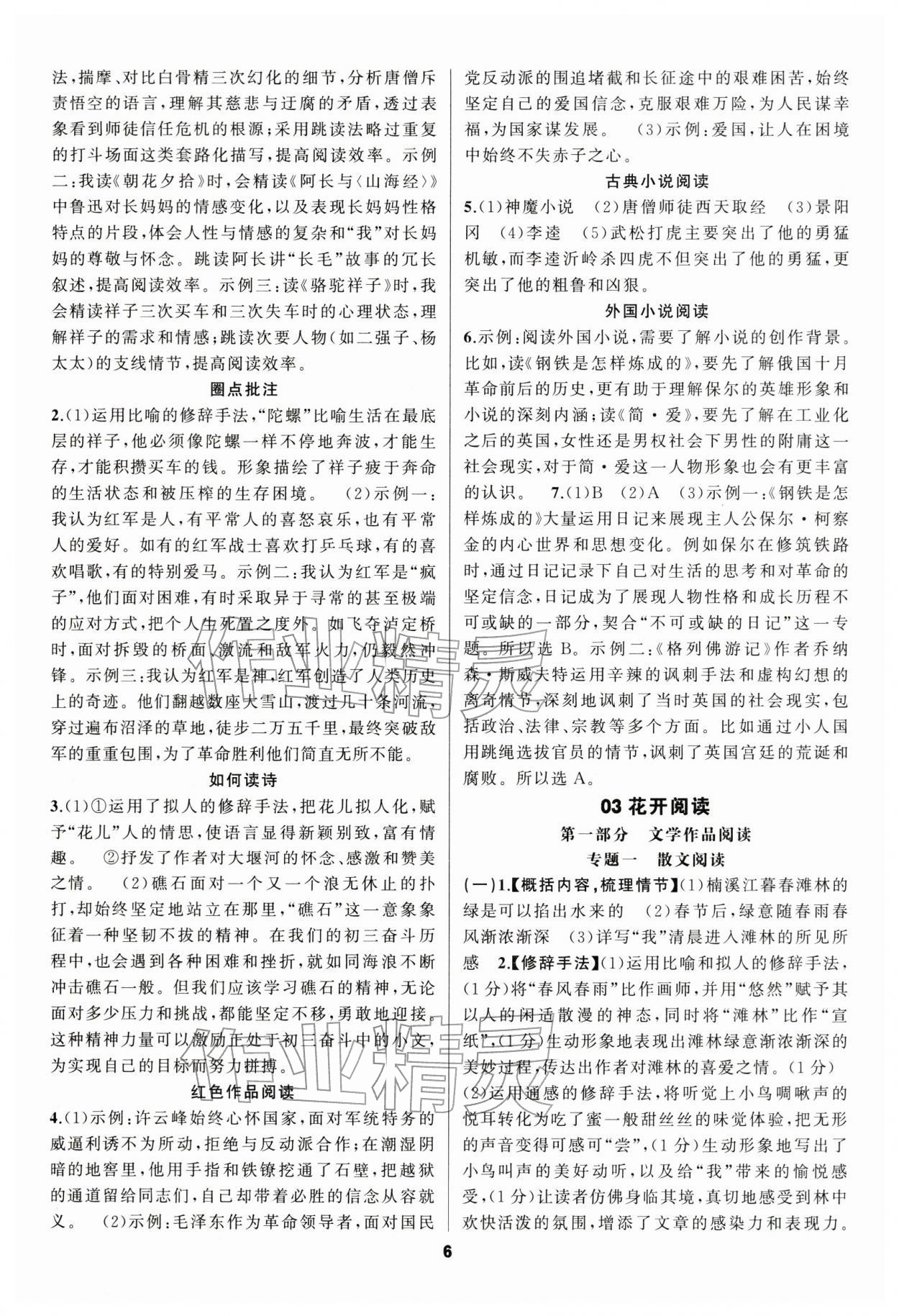 2026年中考高高手语文&nbsp;第6页