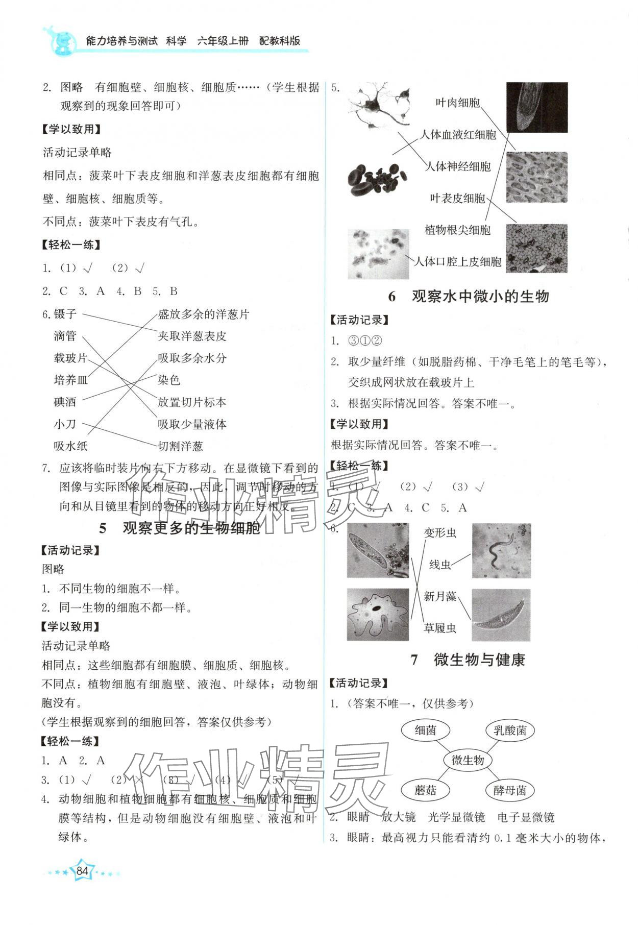 2025年能力培养与测试六年级科学上册教科版 第2页