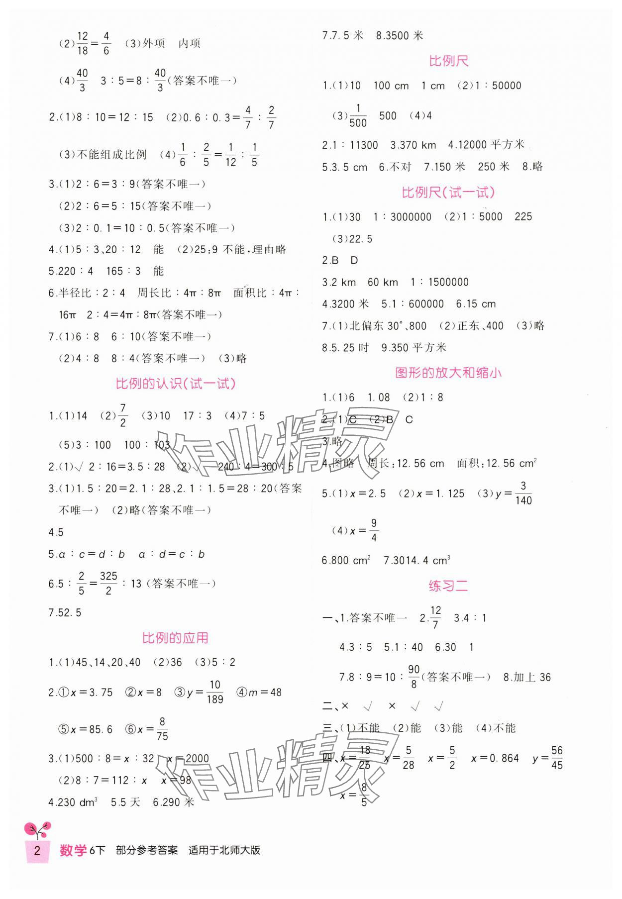 2024年小学生学习实践园地六年级数学下册北师大版 第2页