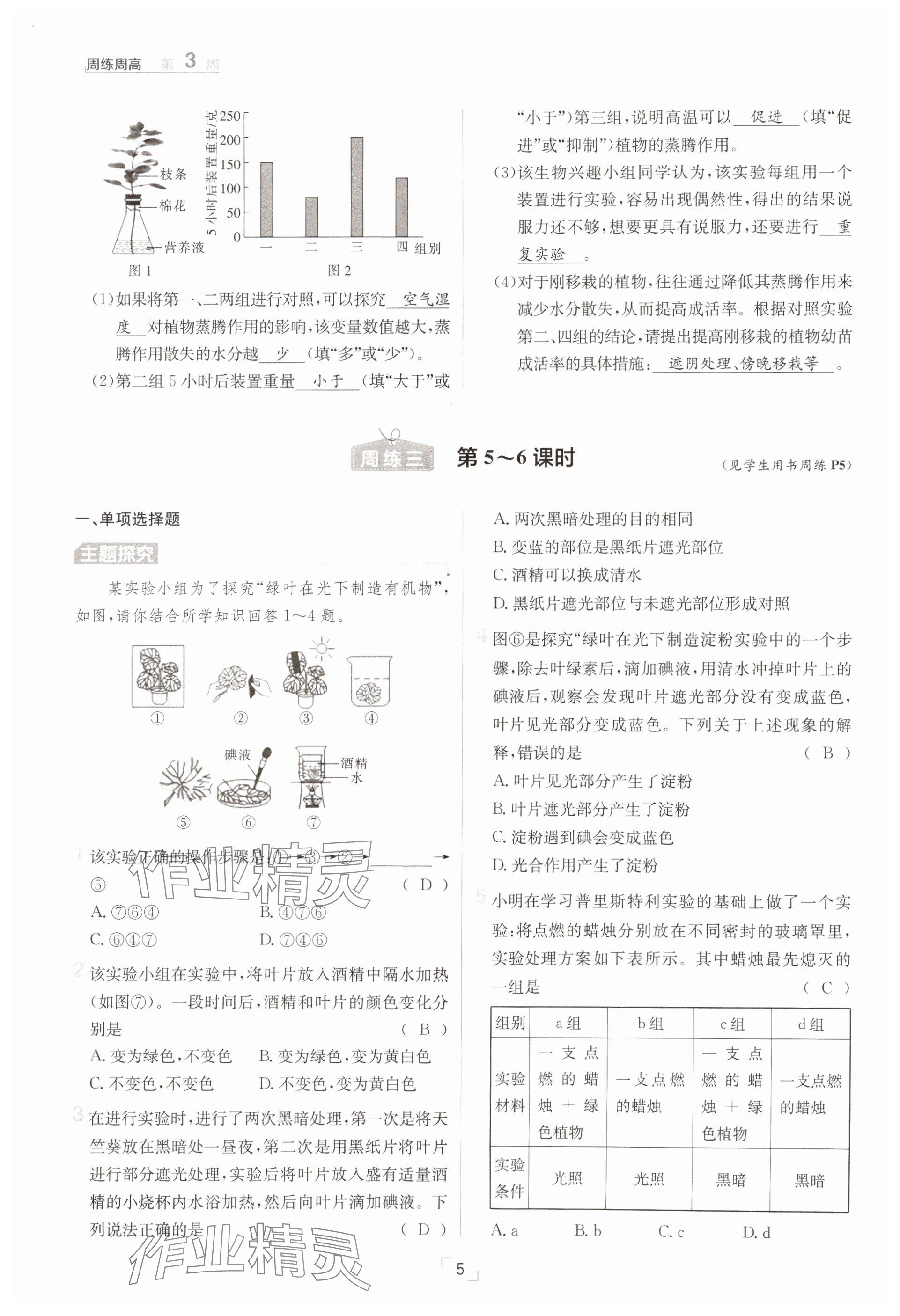 2025年日清周練七年級生物下冊人教版 參考答案第5頁