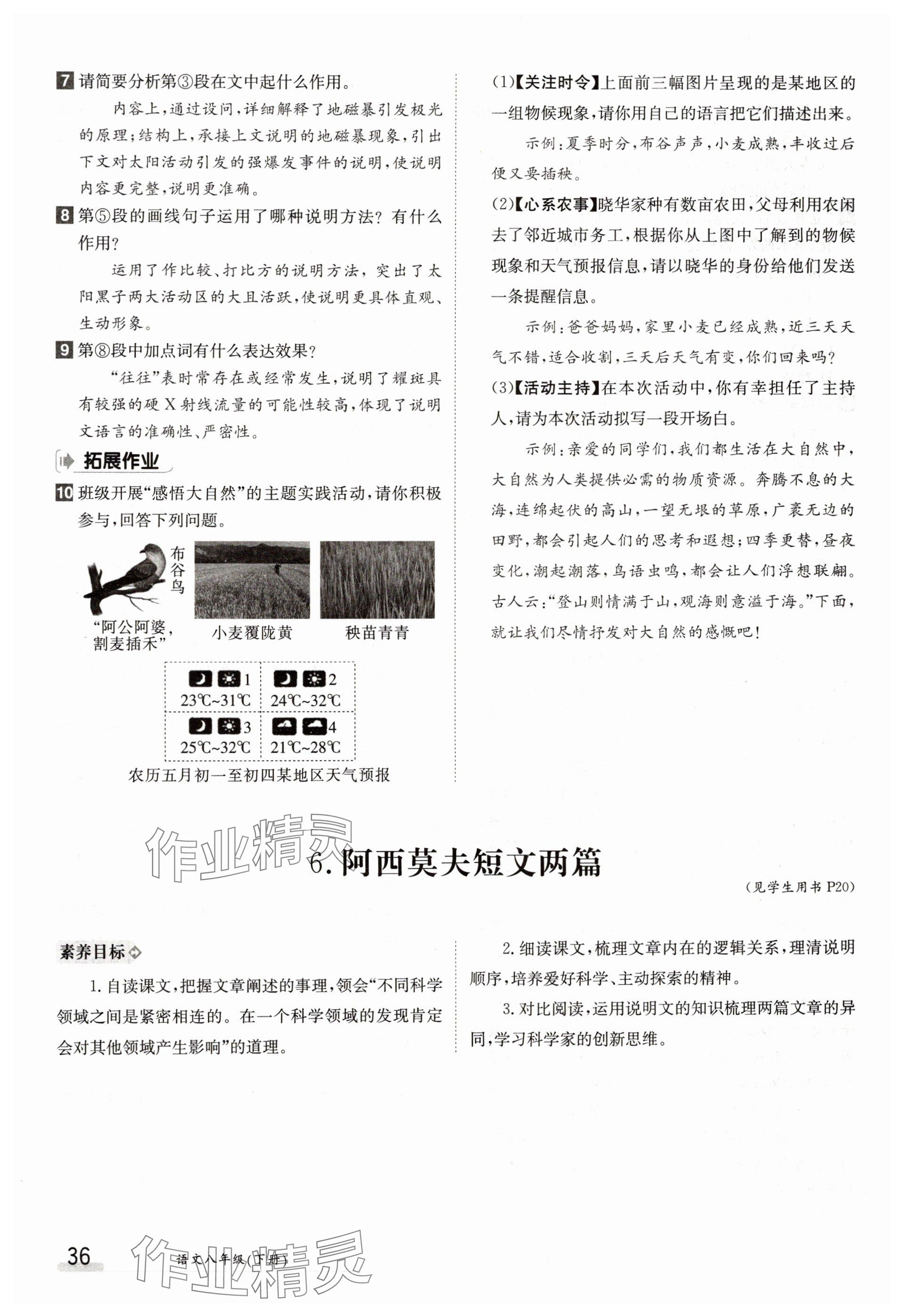2025年金太陽導(dǎo)學(xué)案八年級語文下冊人教版 參考答案第36頁