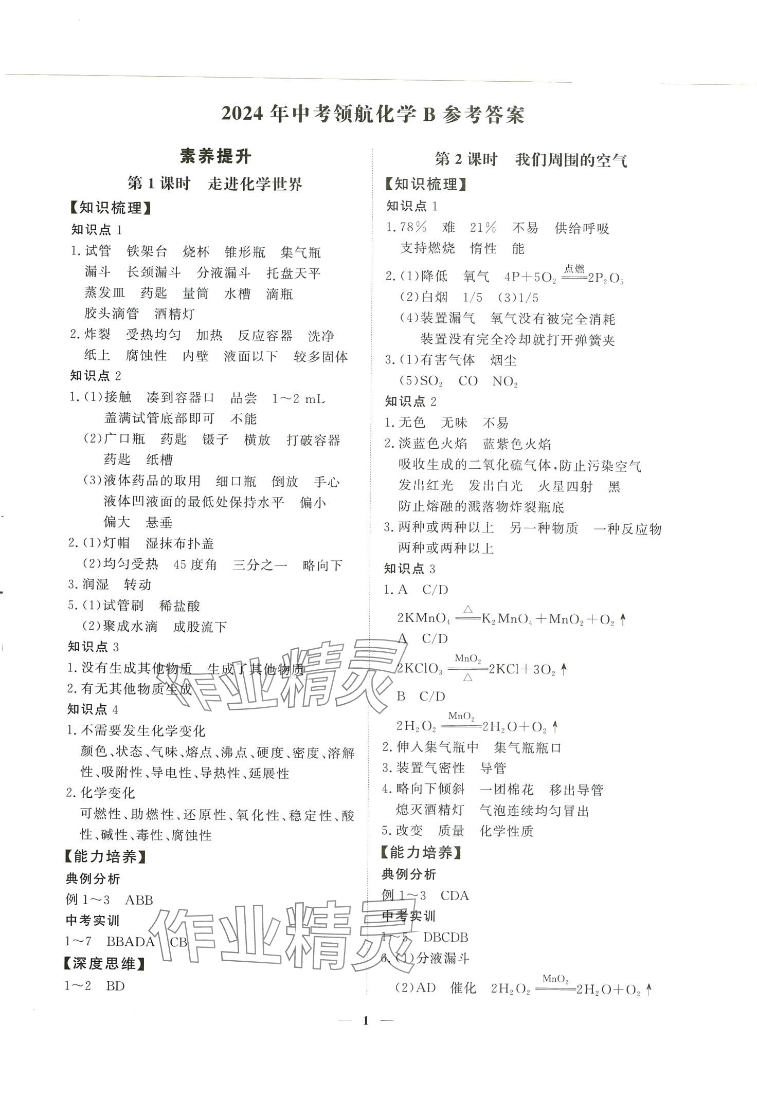 2024年中考領(lǐng)航化學(xué)湖南專(zhuān)版 第1頁(yè)