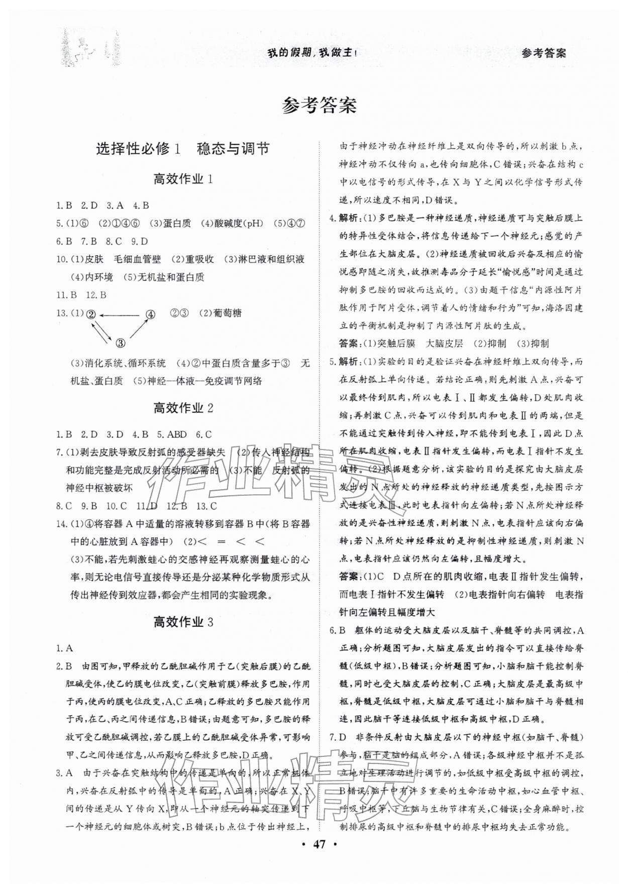 2026年優(yōu)化探究高效作業(yè)高二生物&nbsp;參考答案第1頁(yè)