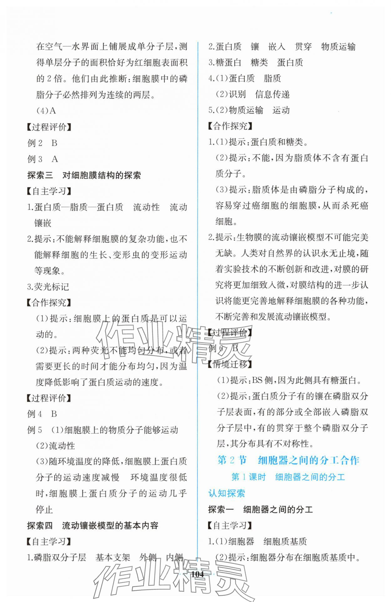 2025年课时练新课程学习评价方案高中生物必修1人教版增强版&nbsp;第10页