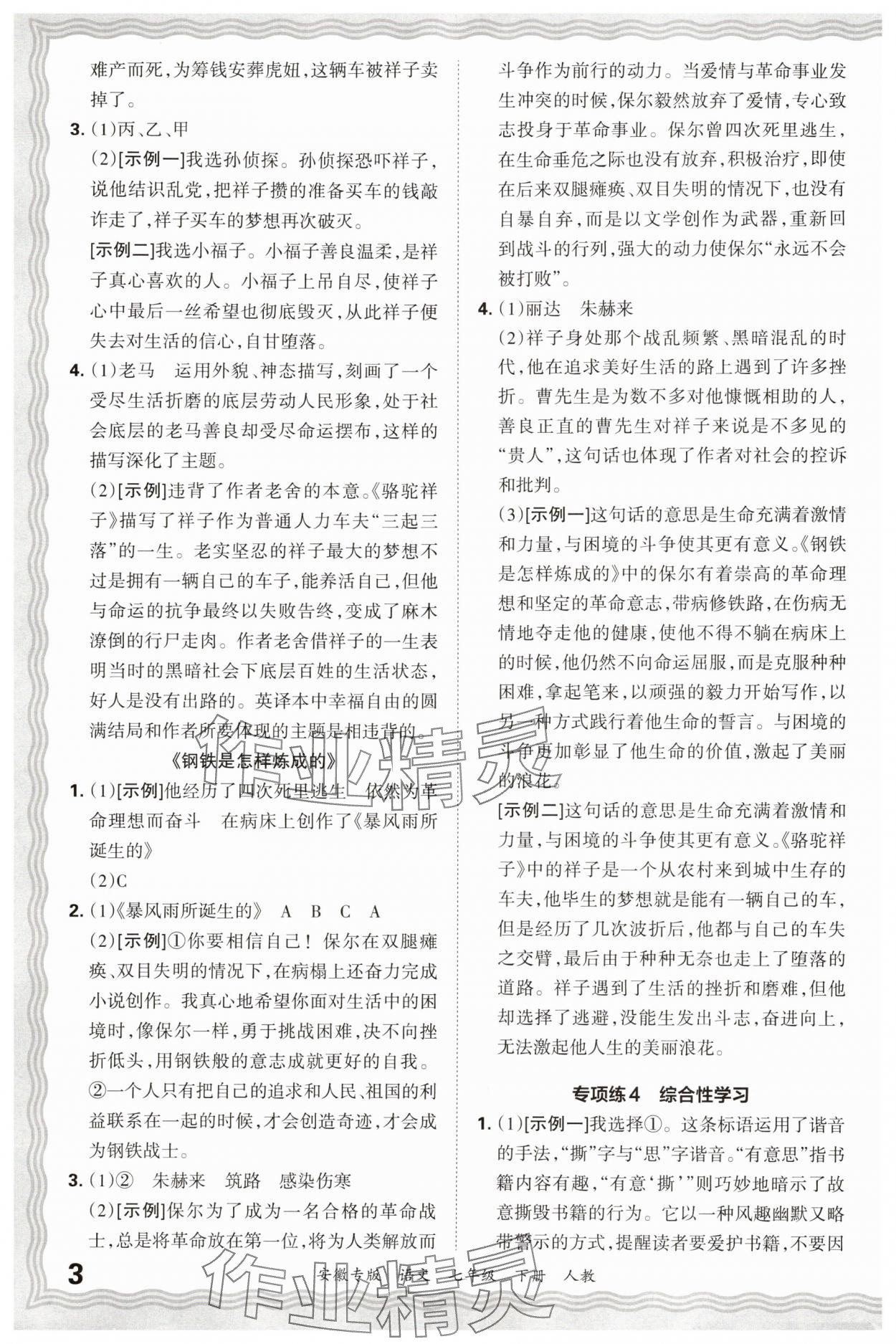2025年王朝霞各地期末试卷精选七年级语文下册人教版安徽专版 参考答案第3页
