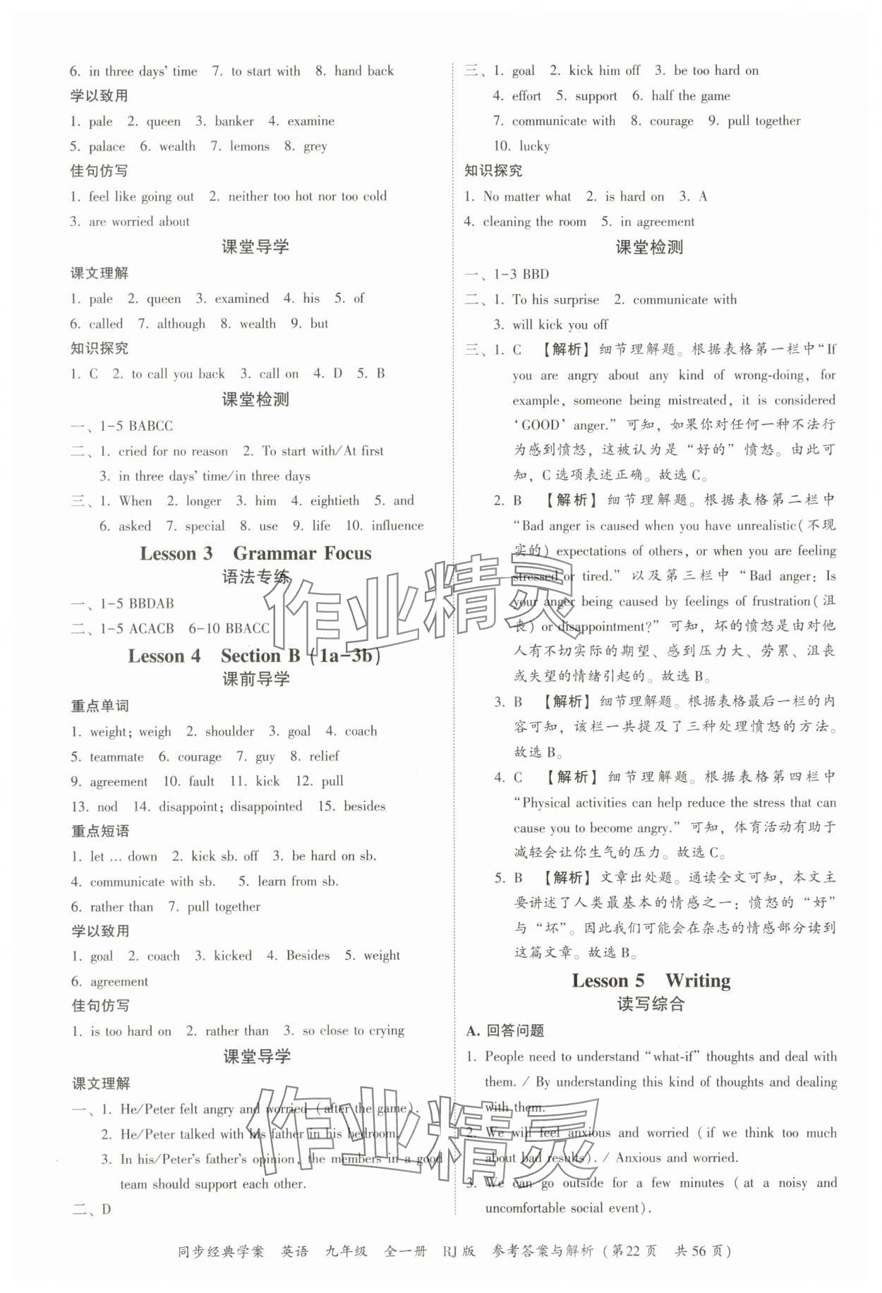 2025年同步经典学案九年级英语全一册人教版 第22页