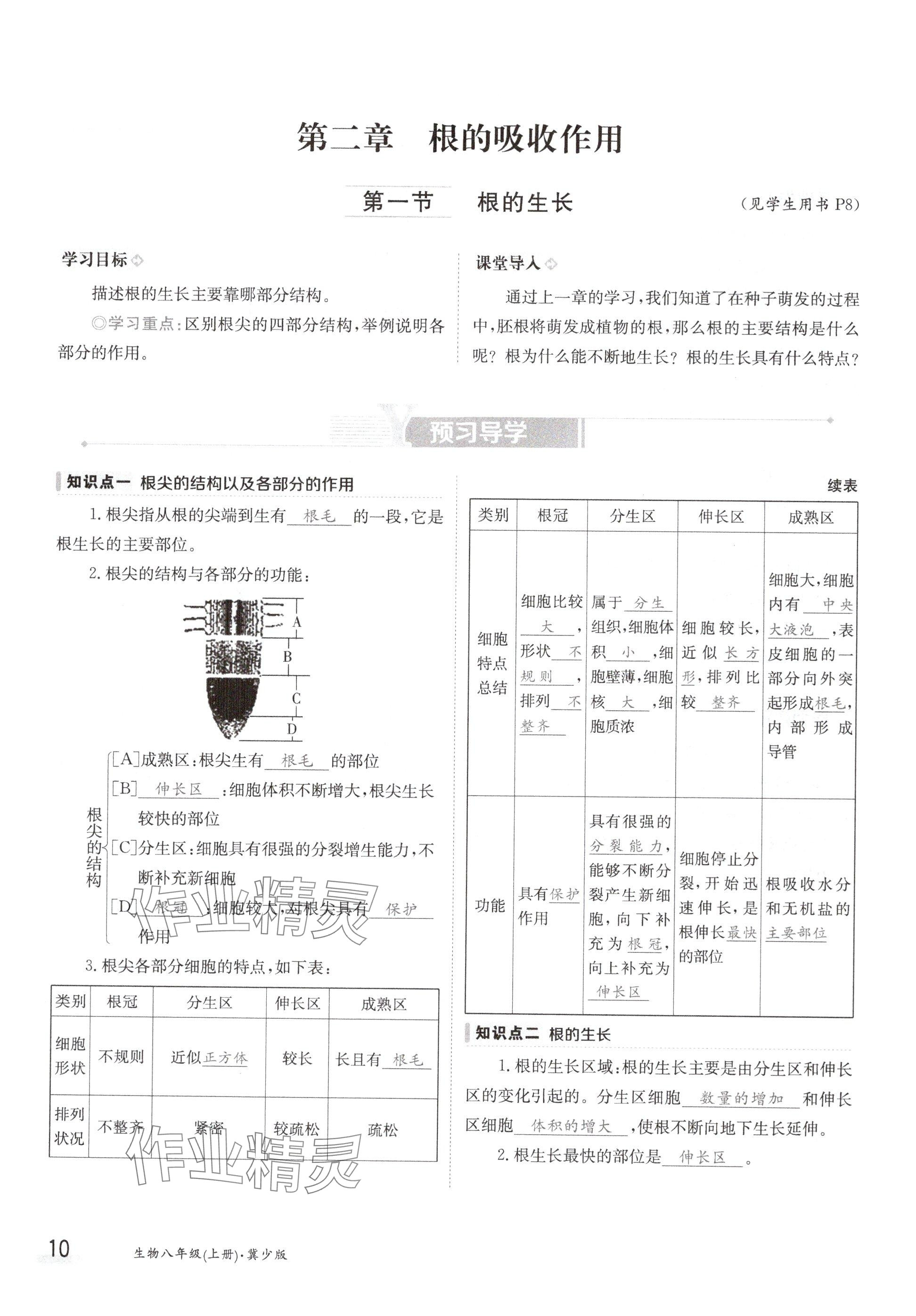 2024年金太陽導(dǎo)學(xué)案八年級生物上冊冀少版 參考答案第10頁