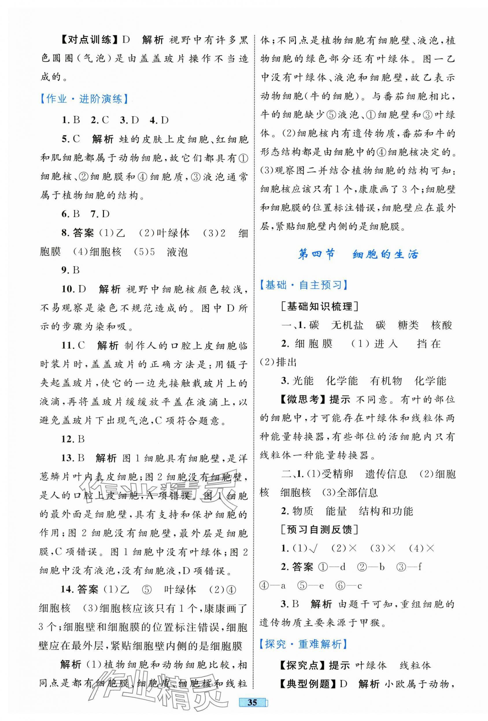 2025年同步学习目标与检测七年级生物上册人教版 第7页