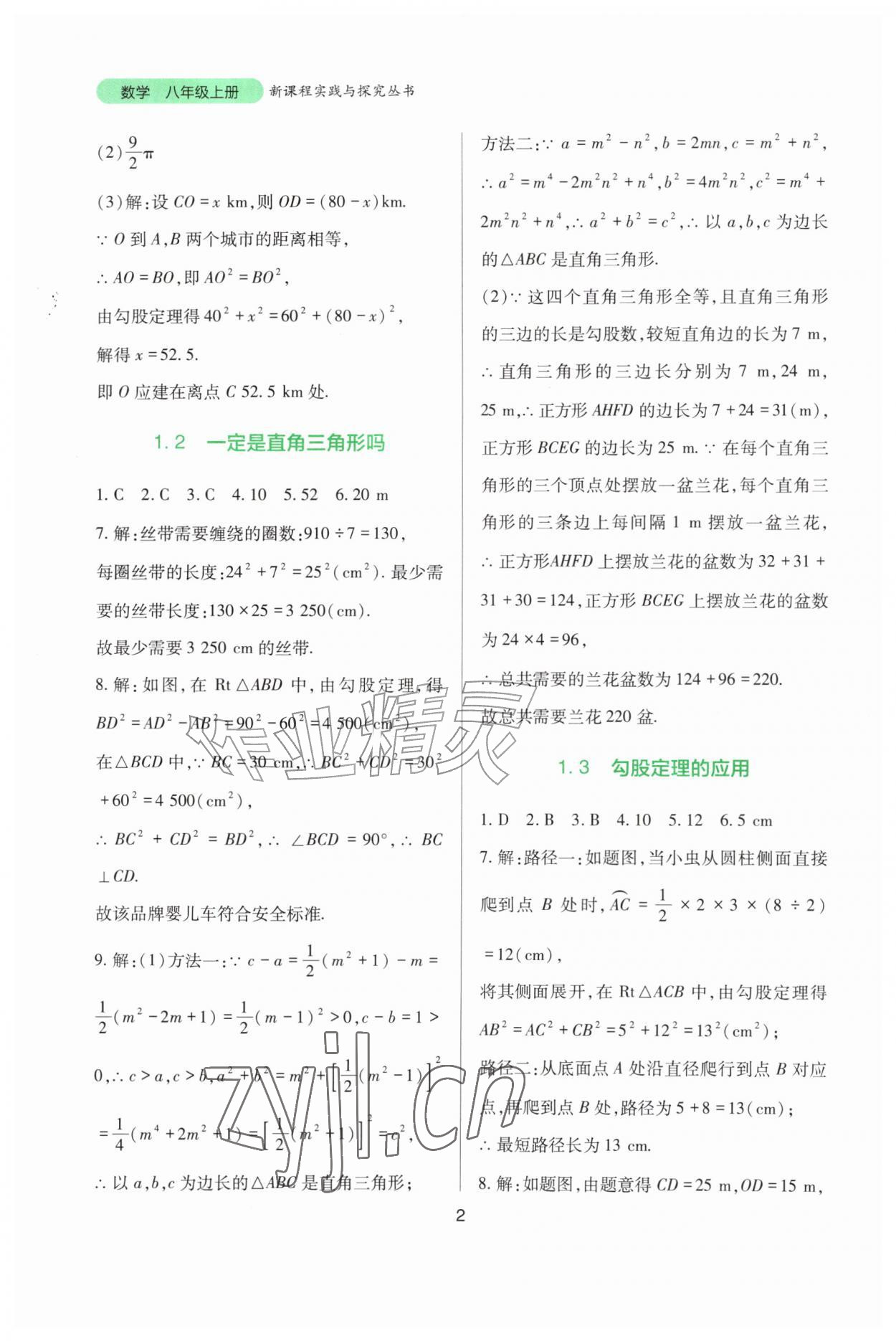 2026年新课程实践与探究丛书八年级数学上册北师大版&nbsp;第2页