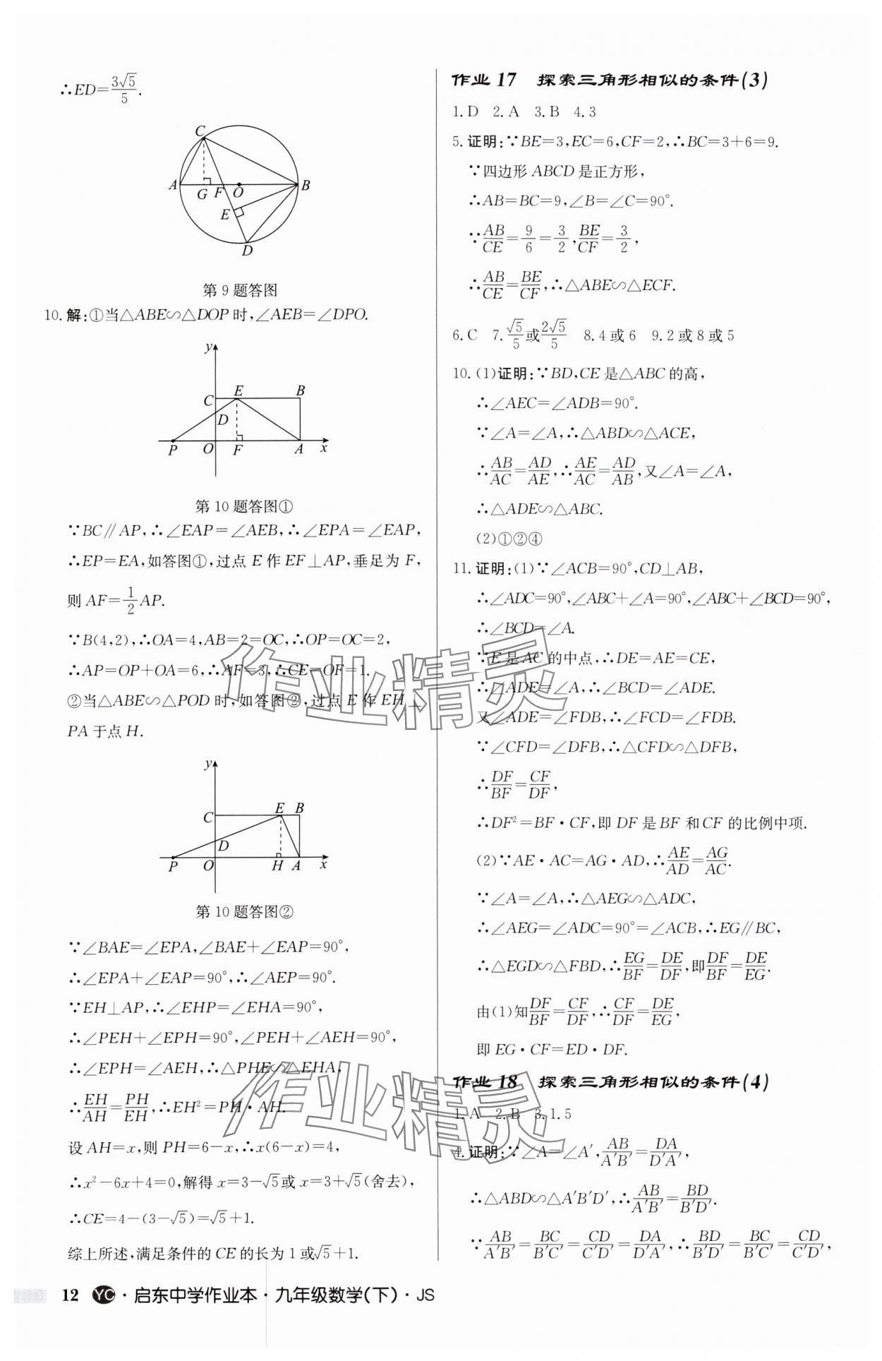 2025年启东中学作业本九年级数学下册苏科版盐城专版 参考答案第12页