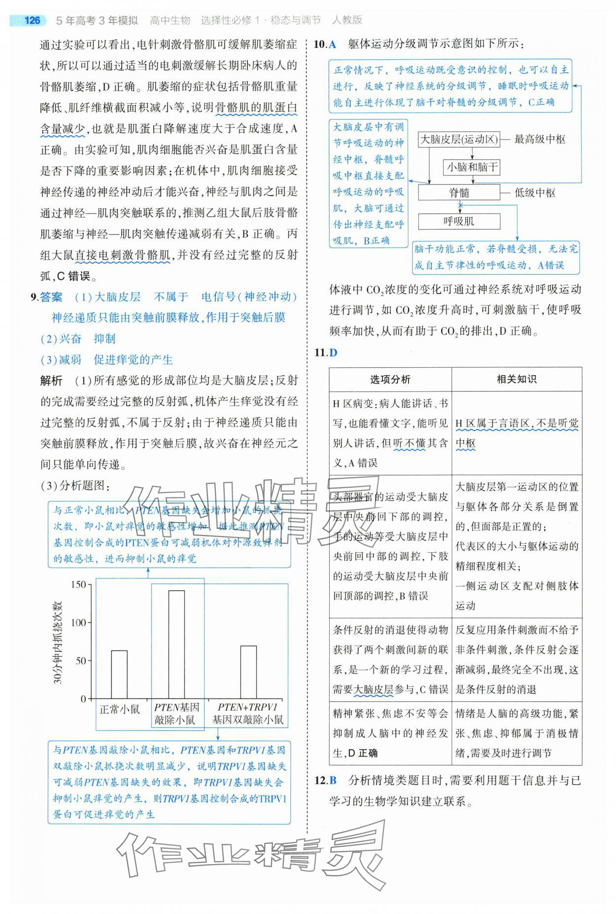 2025年5年高考3年模擬高中生物選擇性必修1人教版 第24頁