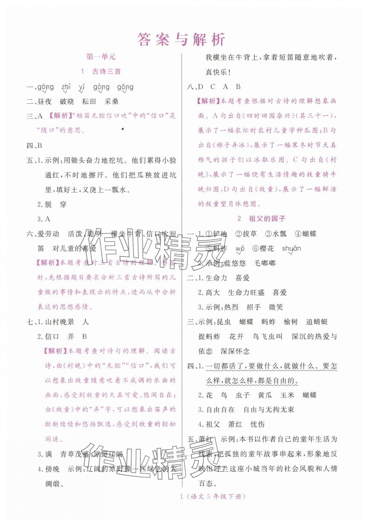 2025年扬帆天天练五年级语文下册人教版 第1页