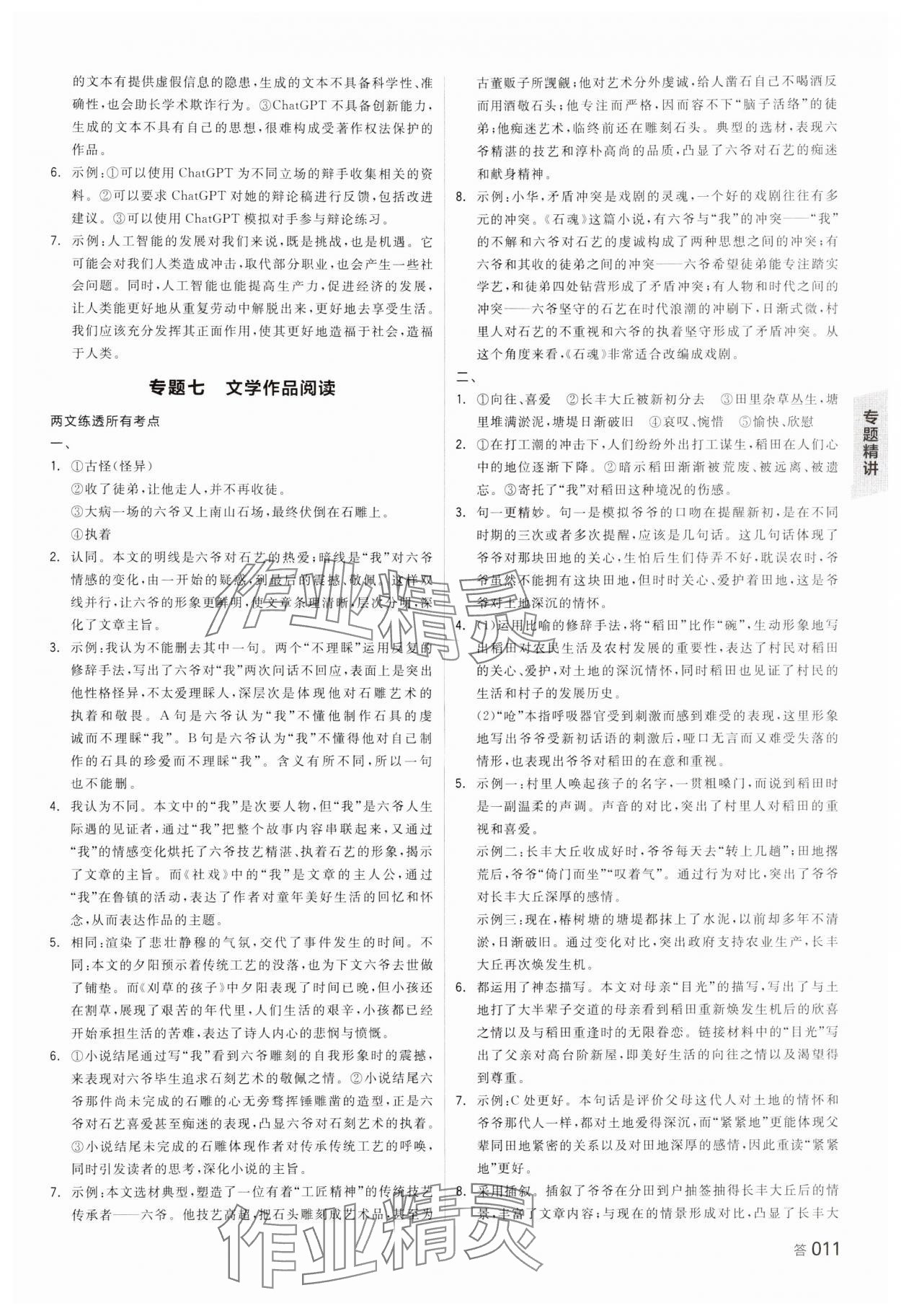 2024年全品中考復(fù)習(xí)方案語文湖南專版 參考答案第10頁