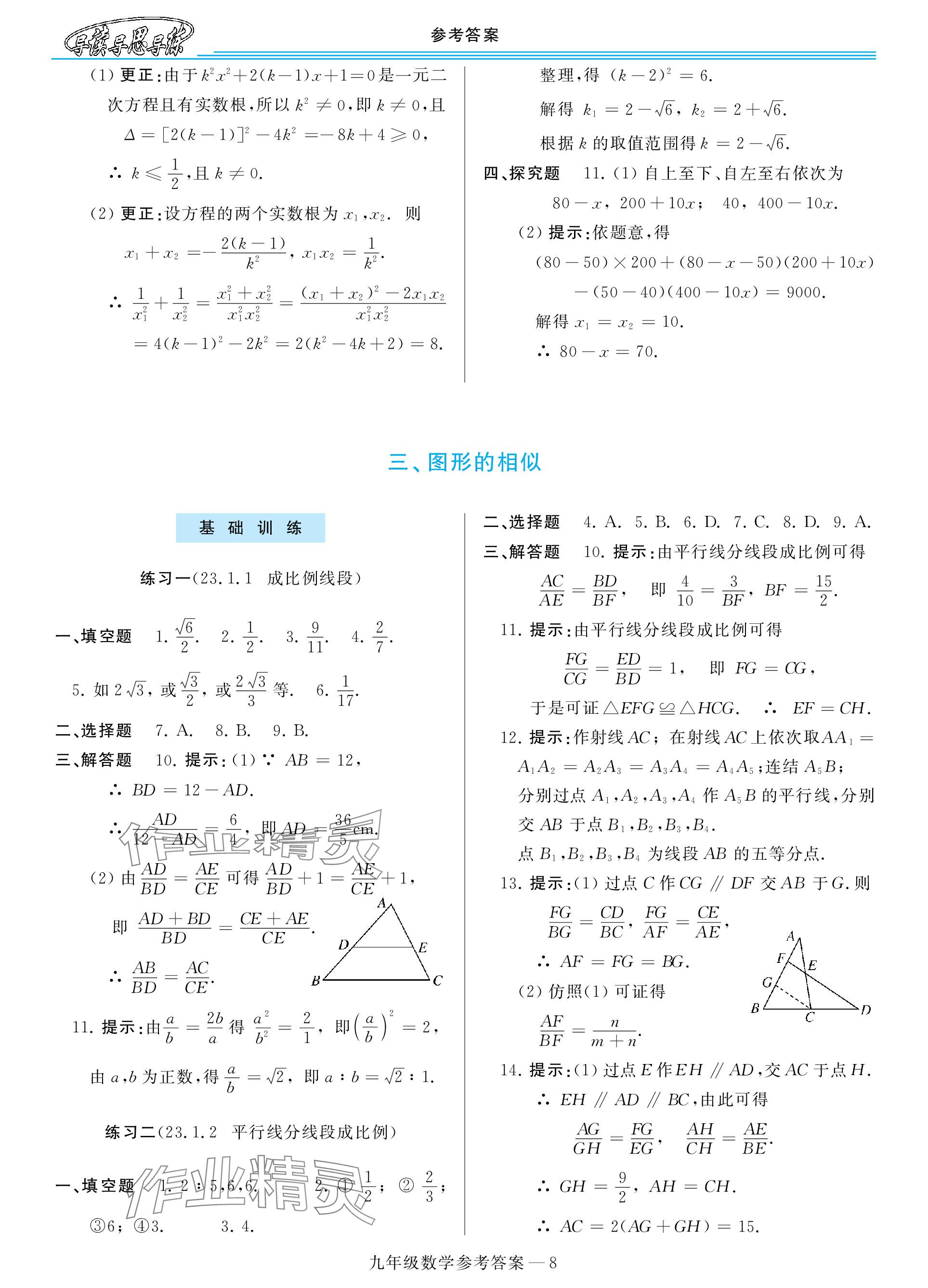 2023年新课程学习指导九年级数学全一册华师大版 参考答案第8页