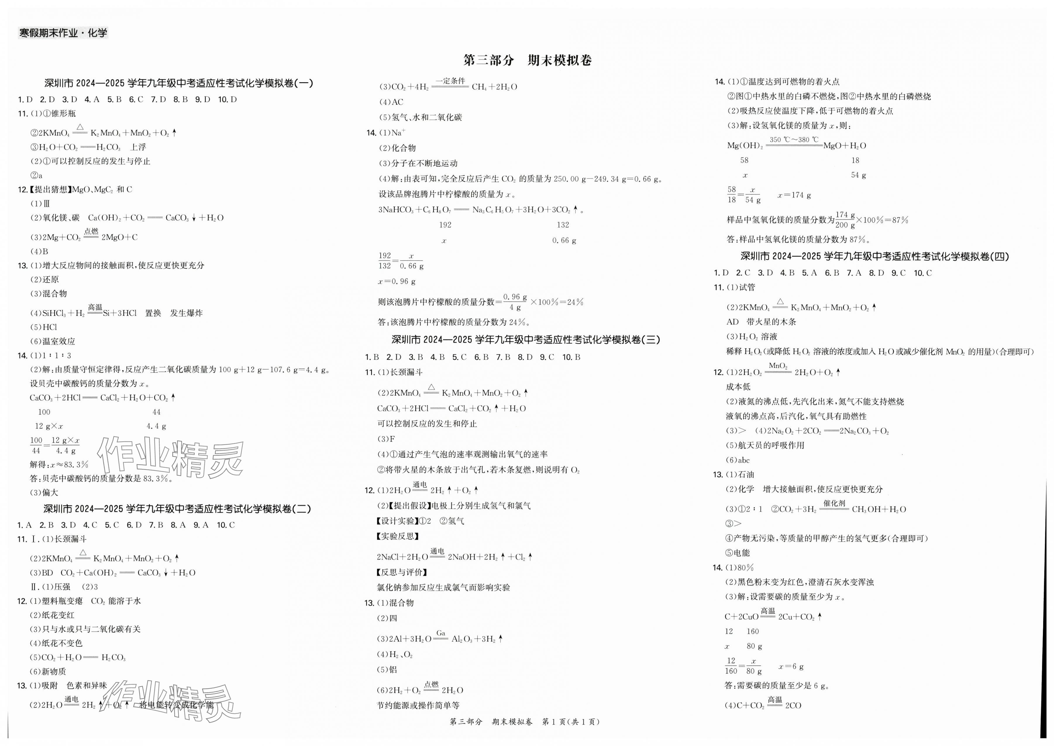 2025年假期作业+期末复习九年级化学深圳专版 第1页