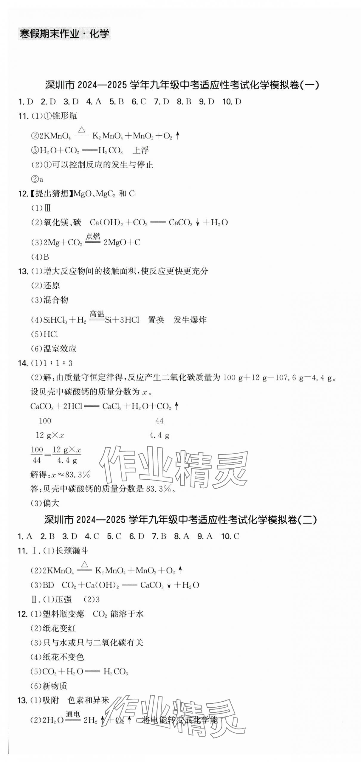 2025年假期作业+期末复习九年级化学深圳专版 第1页