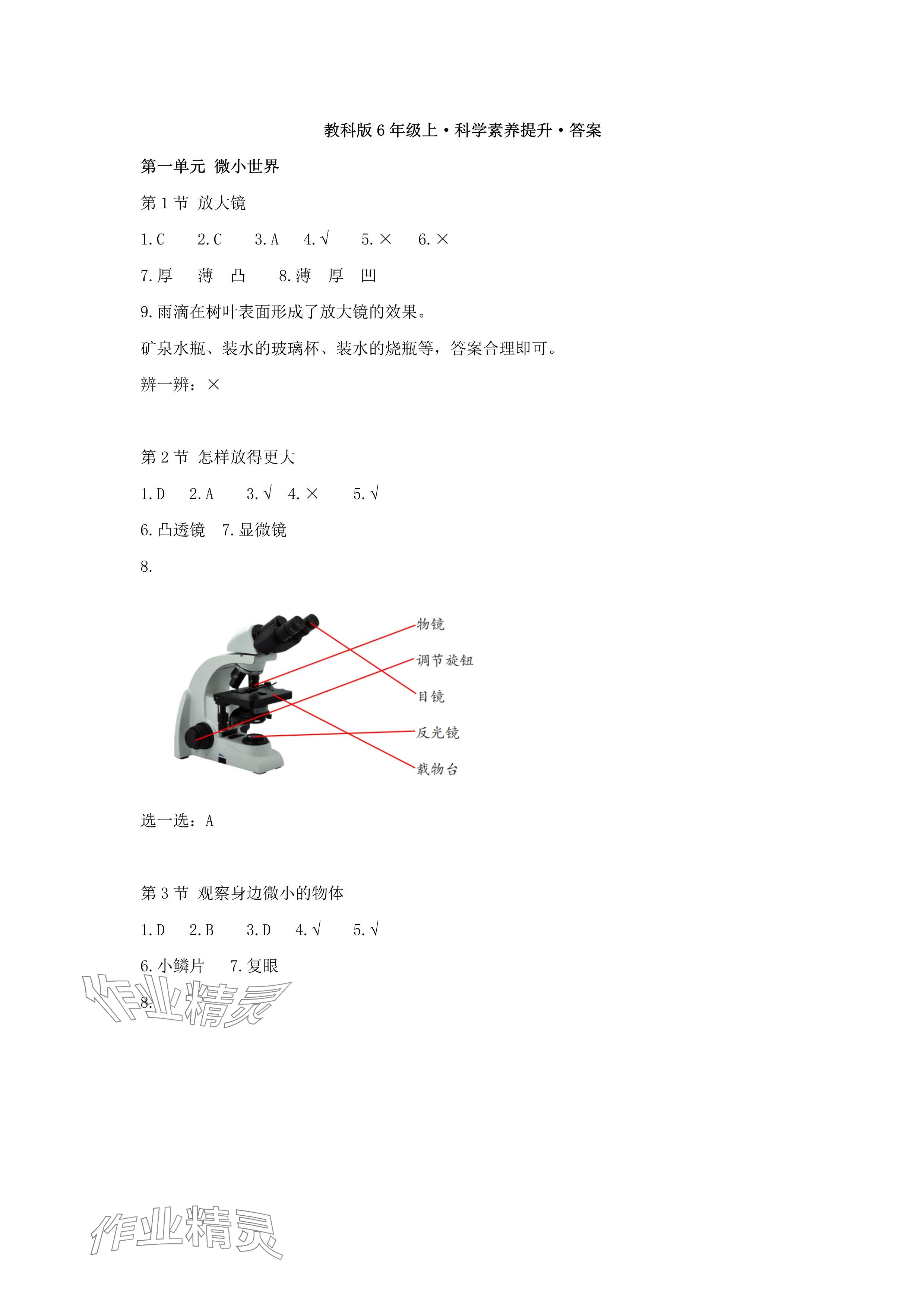 2024年科學素養(yǎng)提升六年級科學上冊教科版 參考答案第1頁