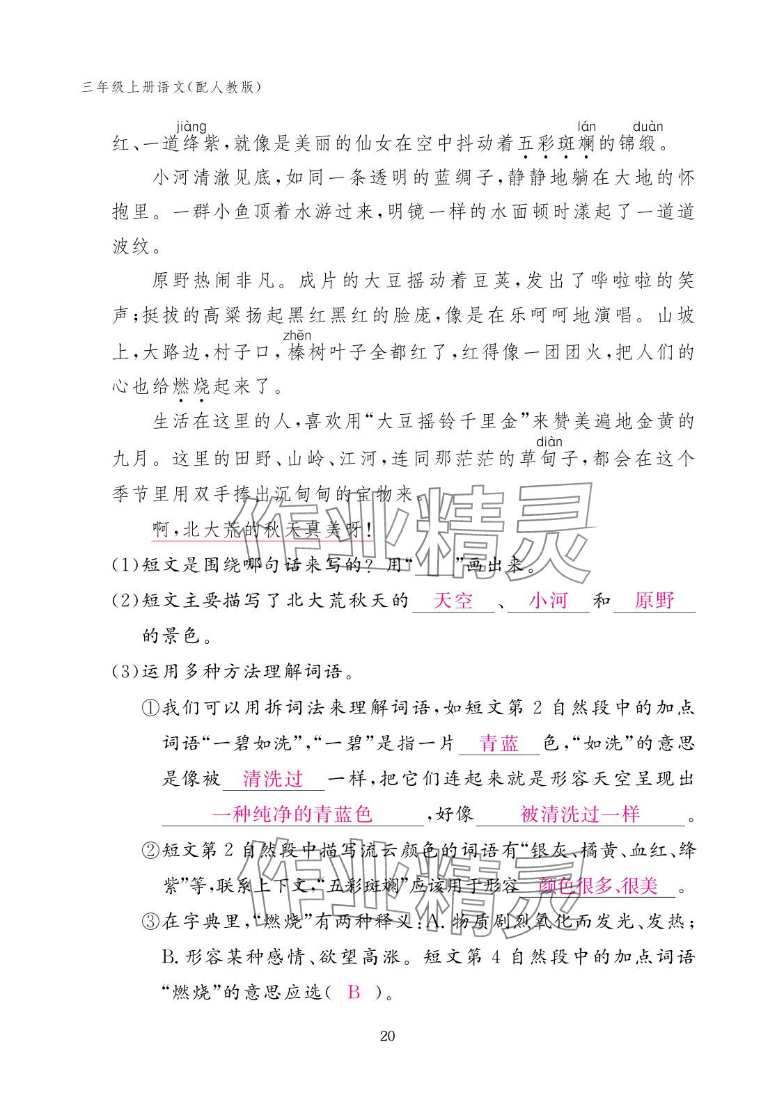 2025年作业本江西教育出版社三年级语文上册人教版 参考答案第20页