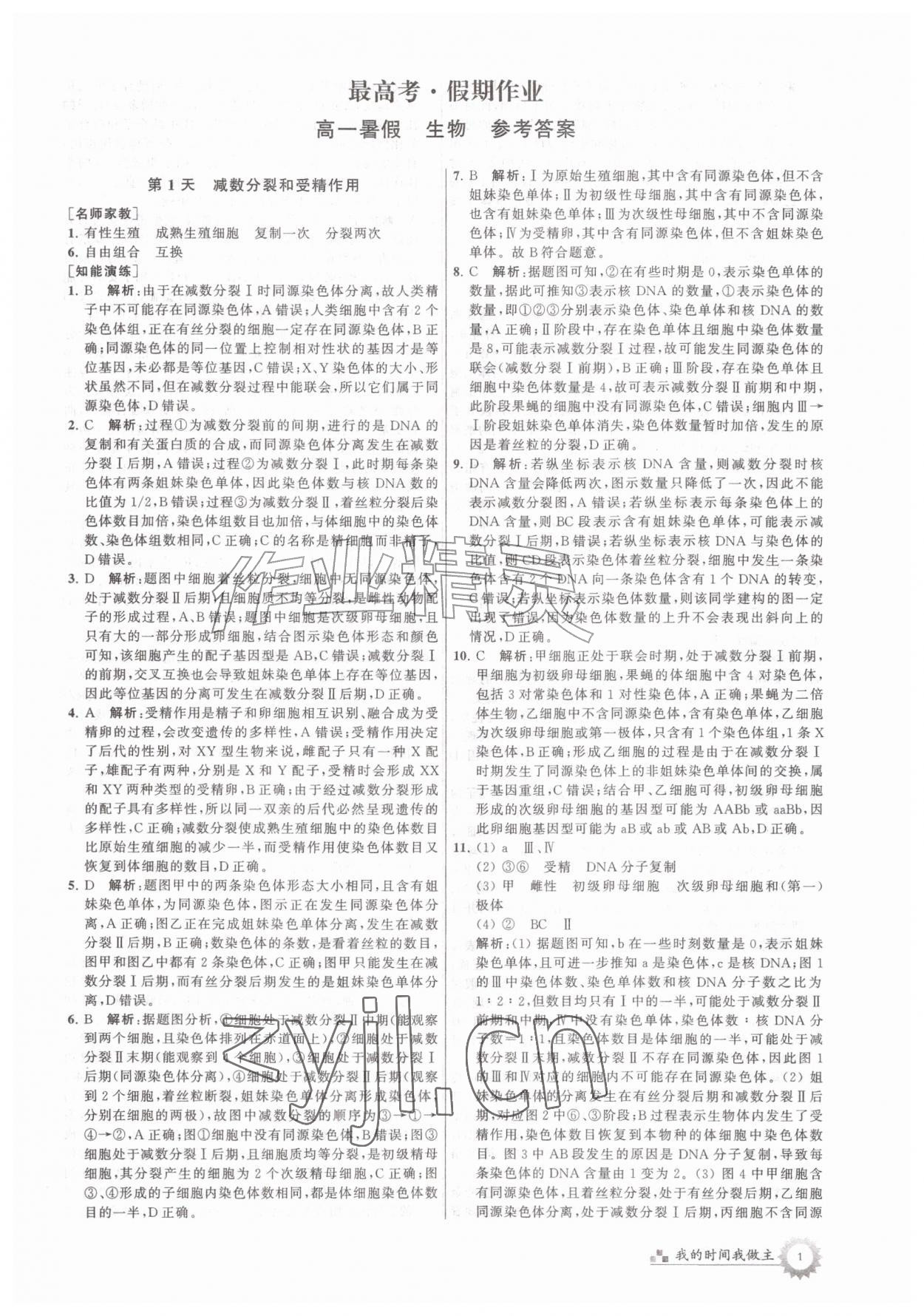 2026年最高考假期作业高一生物&nbsp;第1页