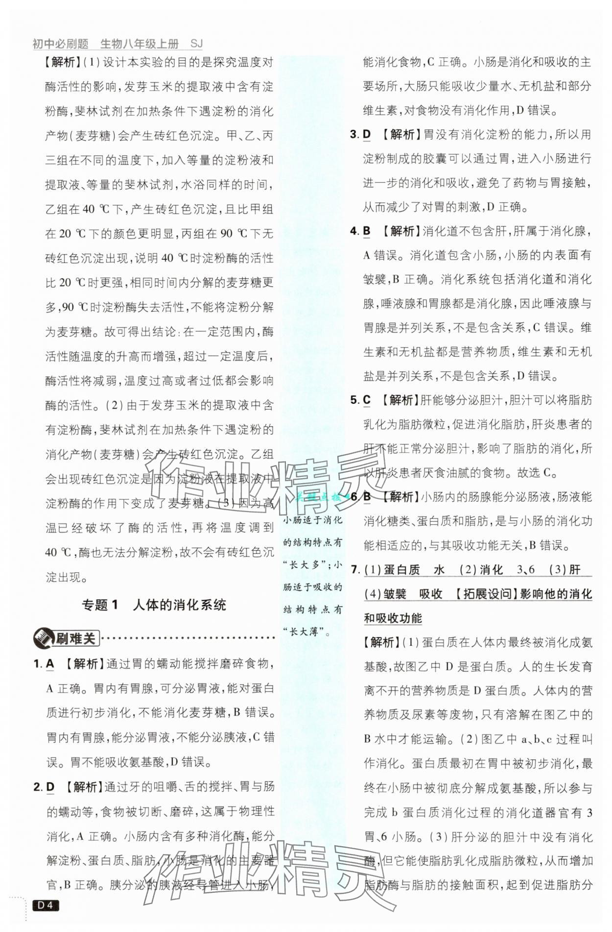 2025年初中必刷题八年级生物上册苏教版&nbsp;第4页