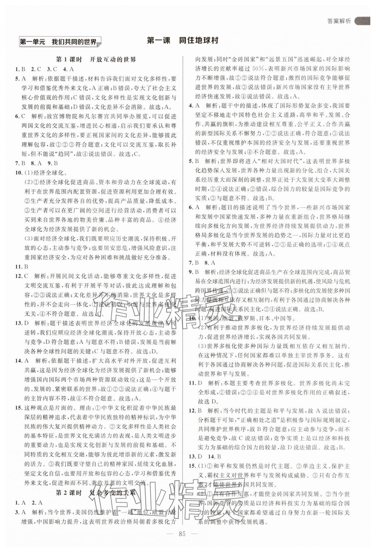 2025年細解巧練九年級道德與法治下冊人教版 第1頁