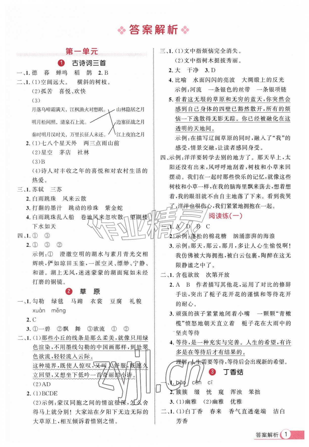2026年细解巧练六年级语文上册人教版&nbsp;第1页