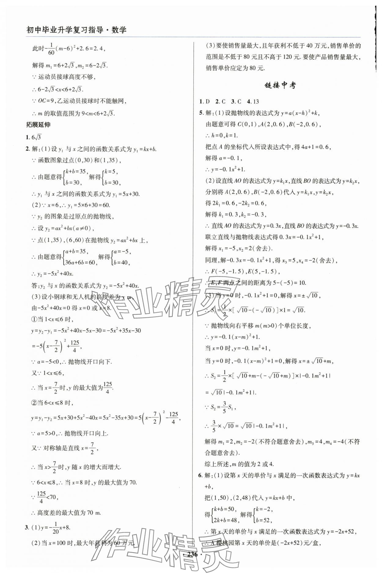 2025年初中畢業(yè)升學(xué)復(fù)習(xí)指導(dǎo)數(shù)學(xué) 參考答案第10頁