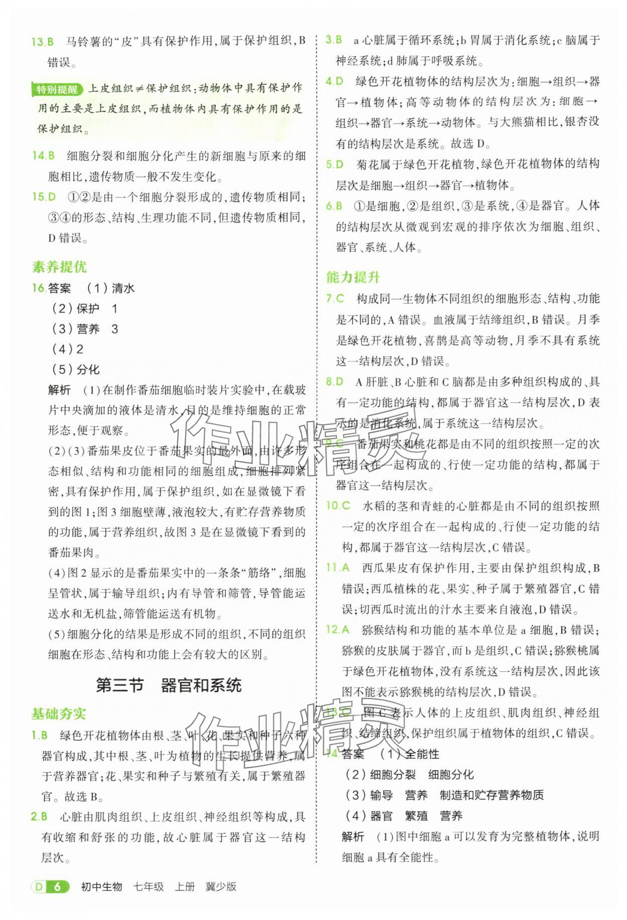 2025年5年中考3年模拟七年级生物上册冀少版 第6页