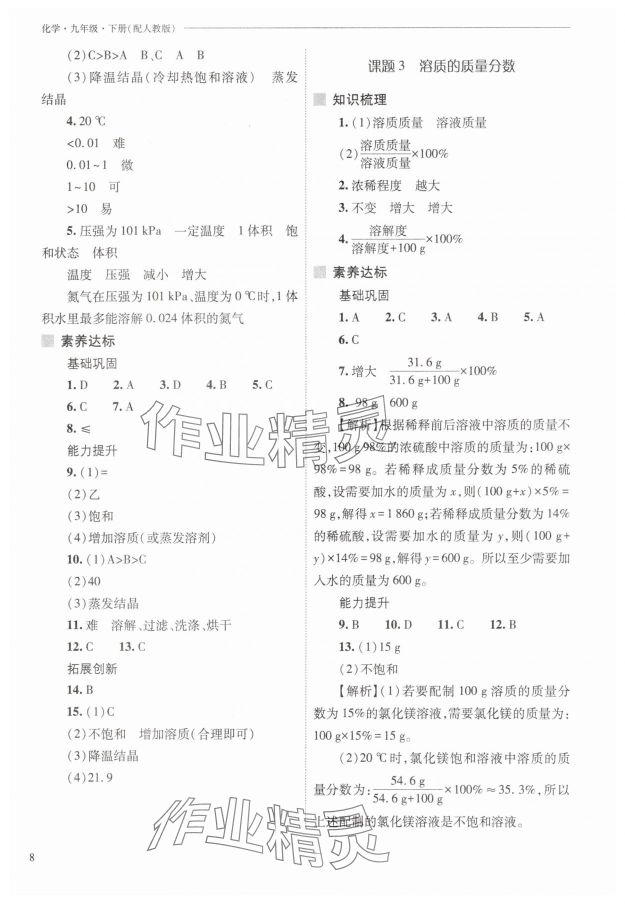 2025年新課程問題解決導學方案九年級化學下冊人教版 參考答案第8頁