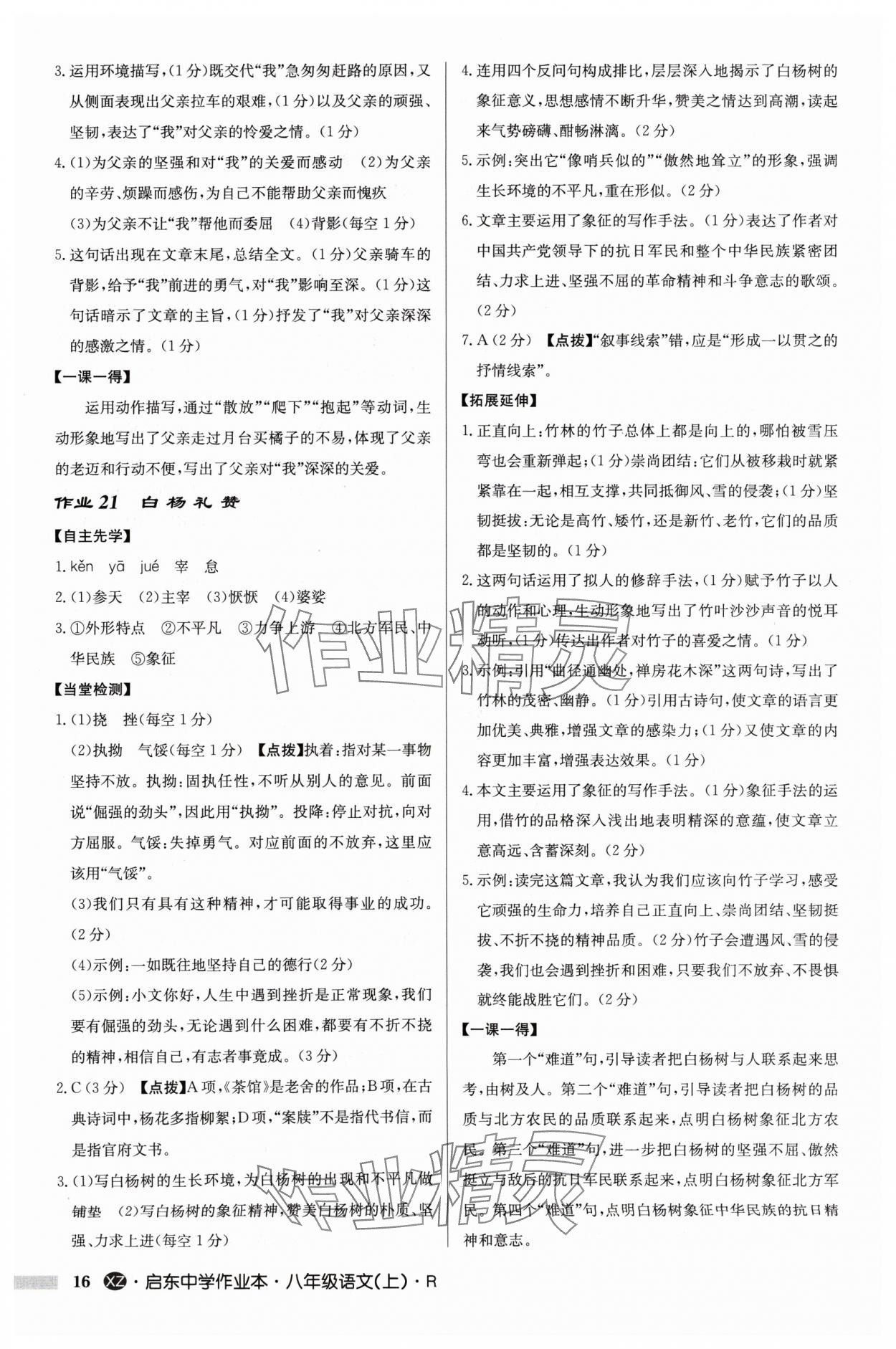 2024年啟東中學(xué)作業(yè)本八年級(jí)語(yǔ)文上冊(cè)人教版徐州專版 參考答案第16頁(yè)