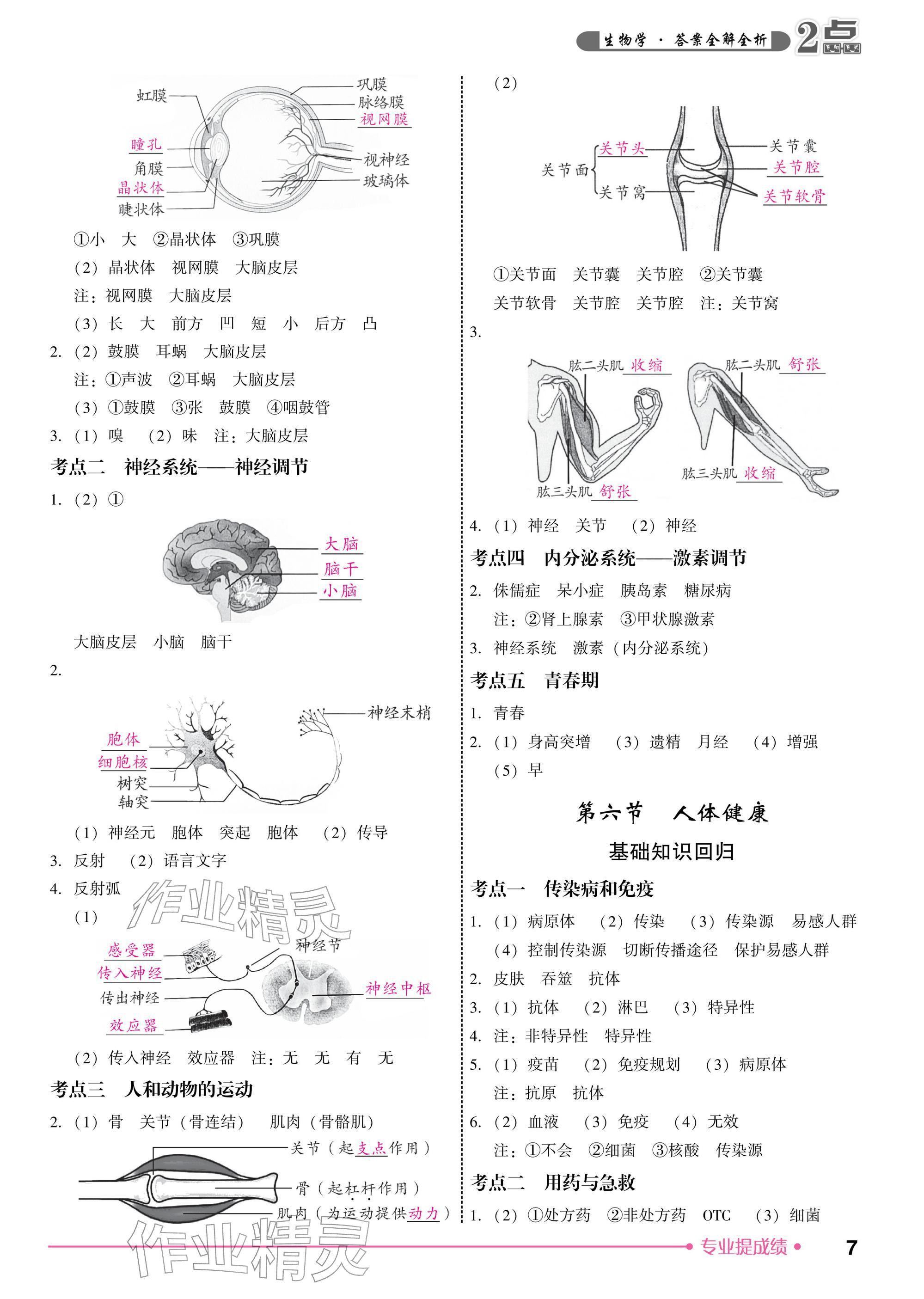 2026年2点备考案生物中考&nbsp;参考答案第7页