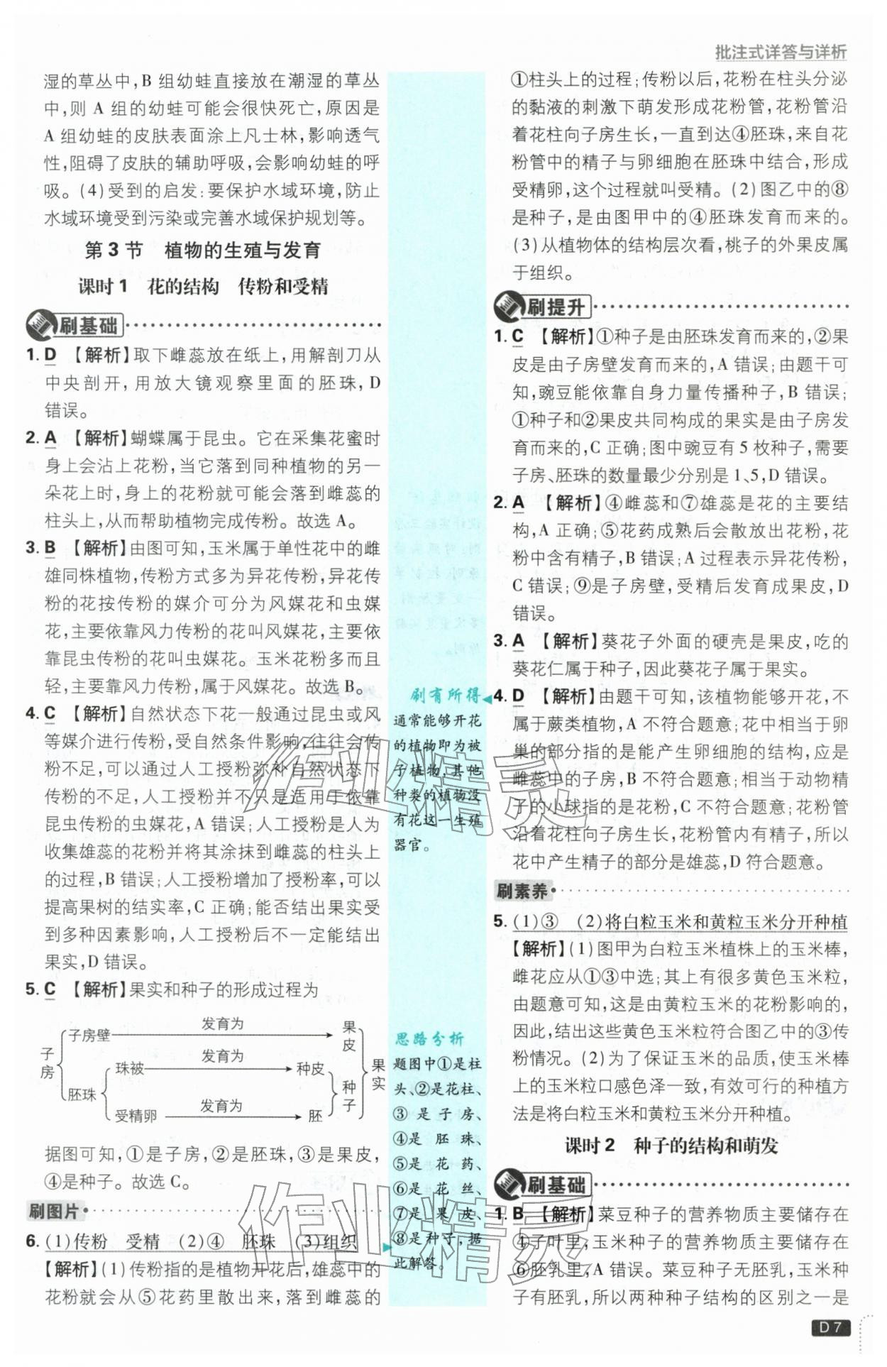 2026年初中必刷题七年级科学下册浙教版浙江专版&nbsp;第7页