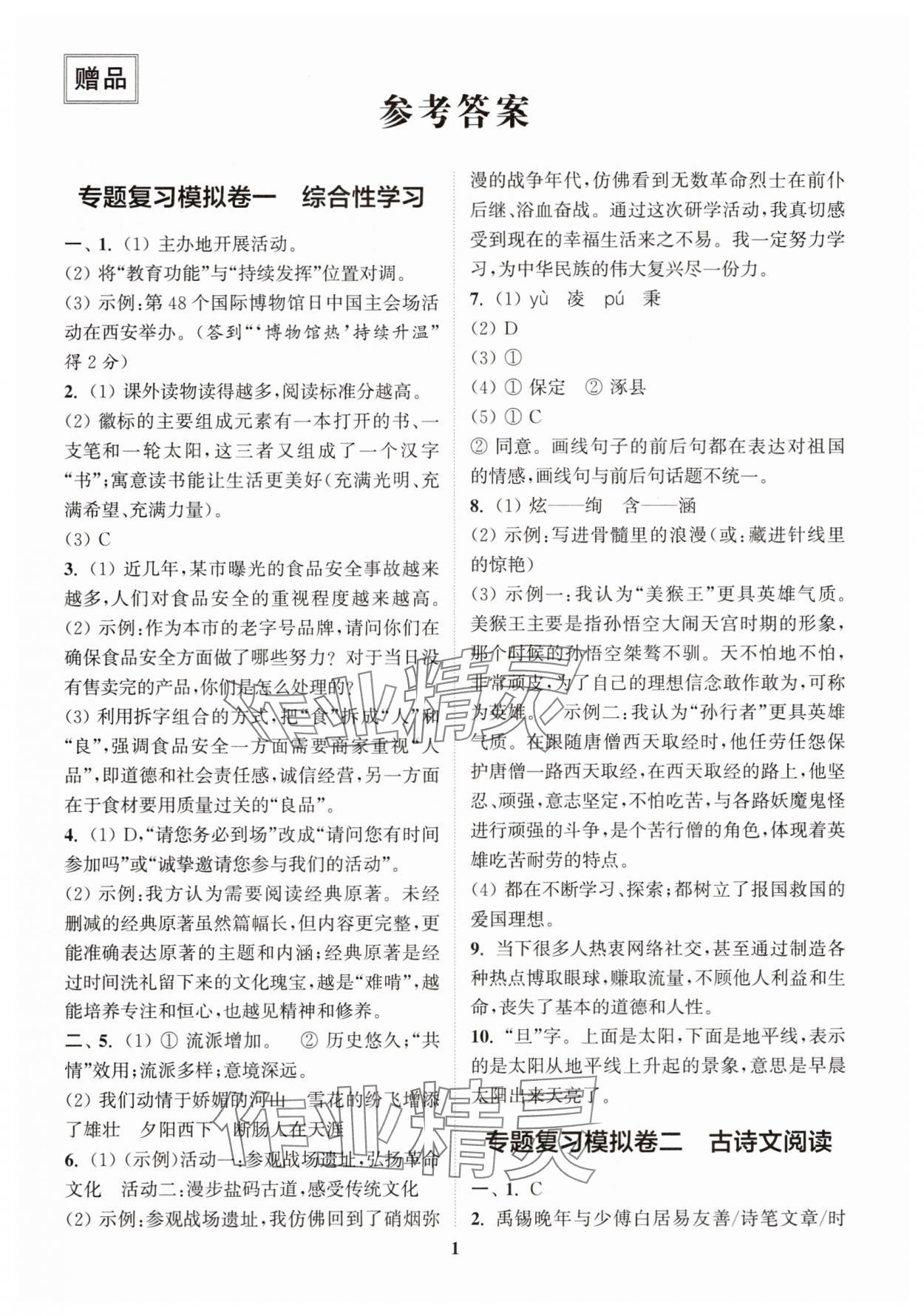 2025年中考專題復習模擬沖刺卷語文 第1頁