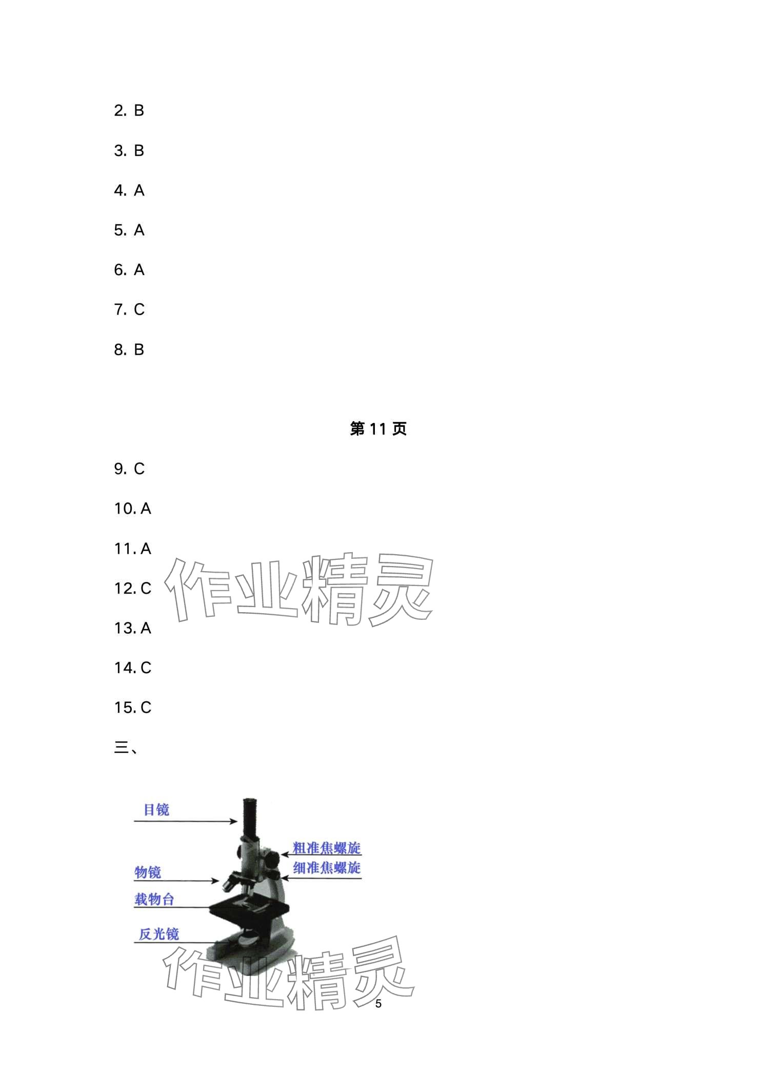 2024年寒假作业教育科学出版社六年级教科版 第5页