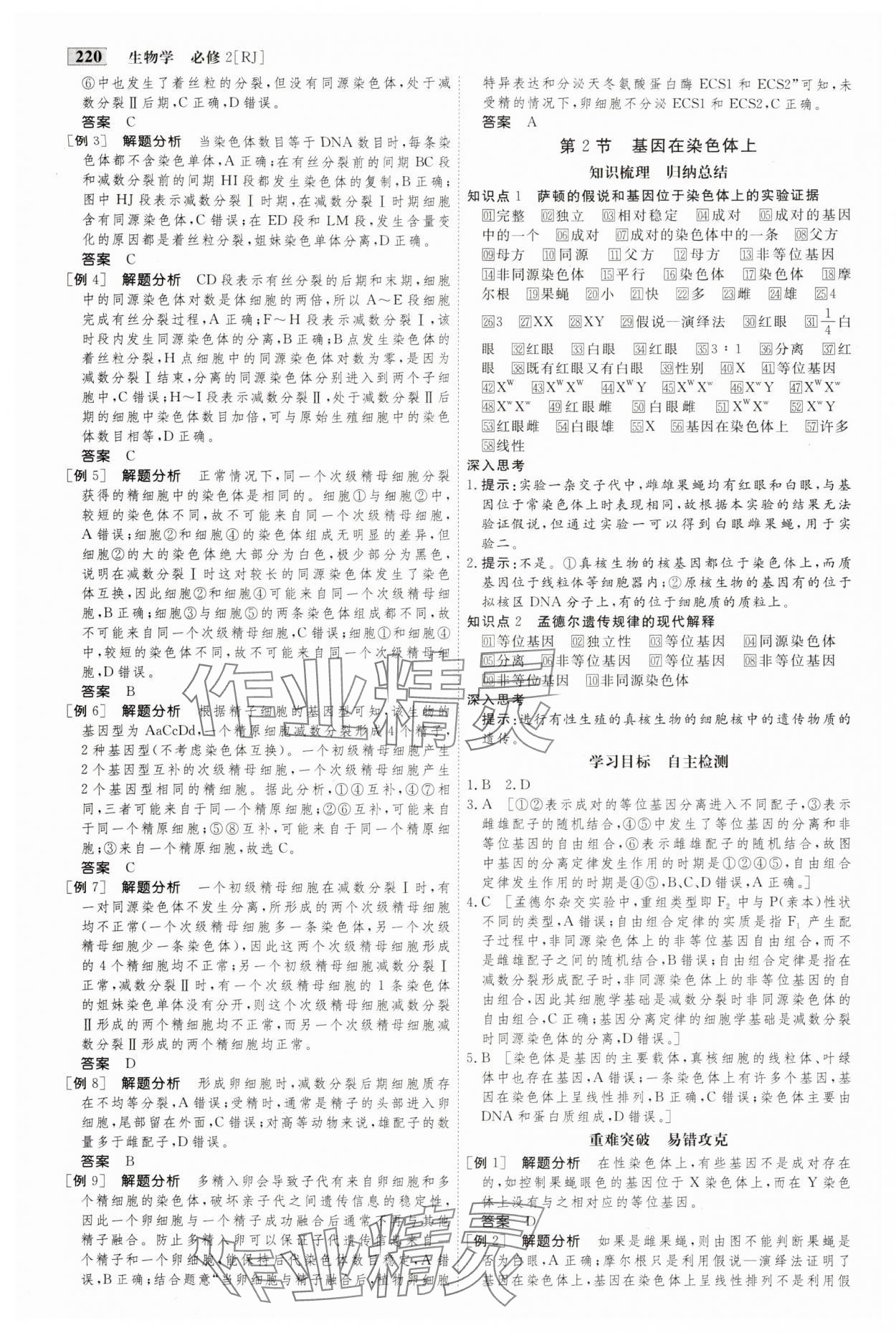 2024年金版教程高中新课程创新导学案高中生物必修2人教版 参考答案第9页