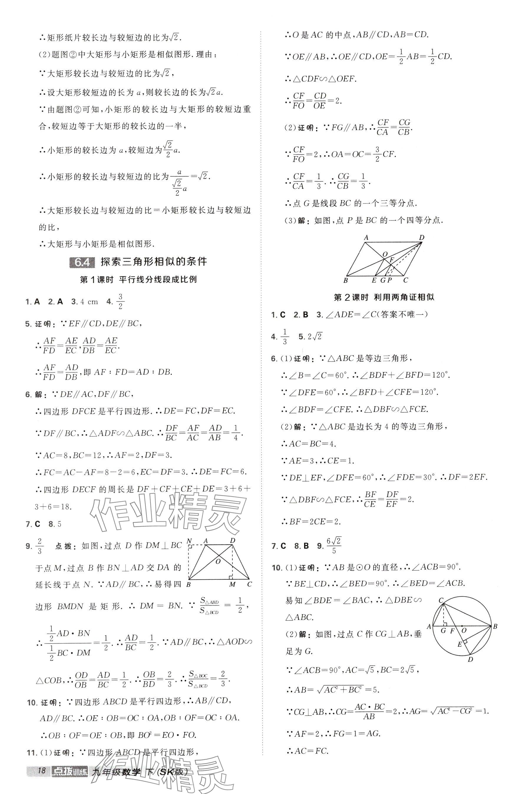 2025年點撥訓(xùn)練九年級數(shù)學(xué)下冊蘇科版江蘇專用 參考答案第18頁