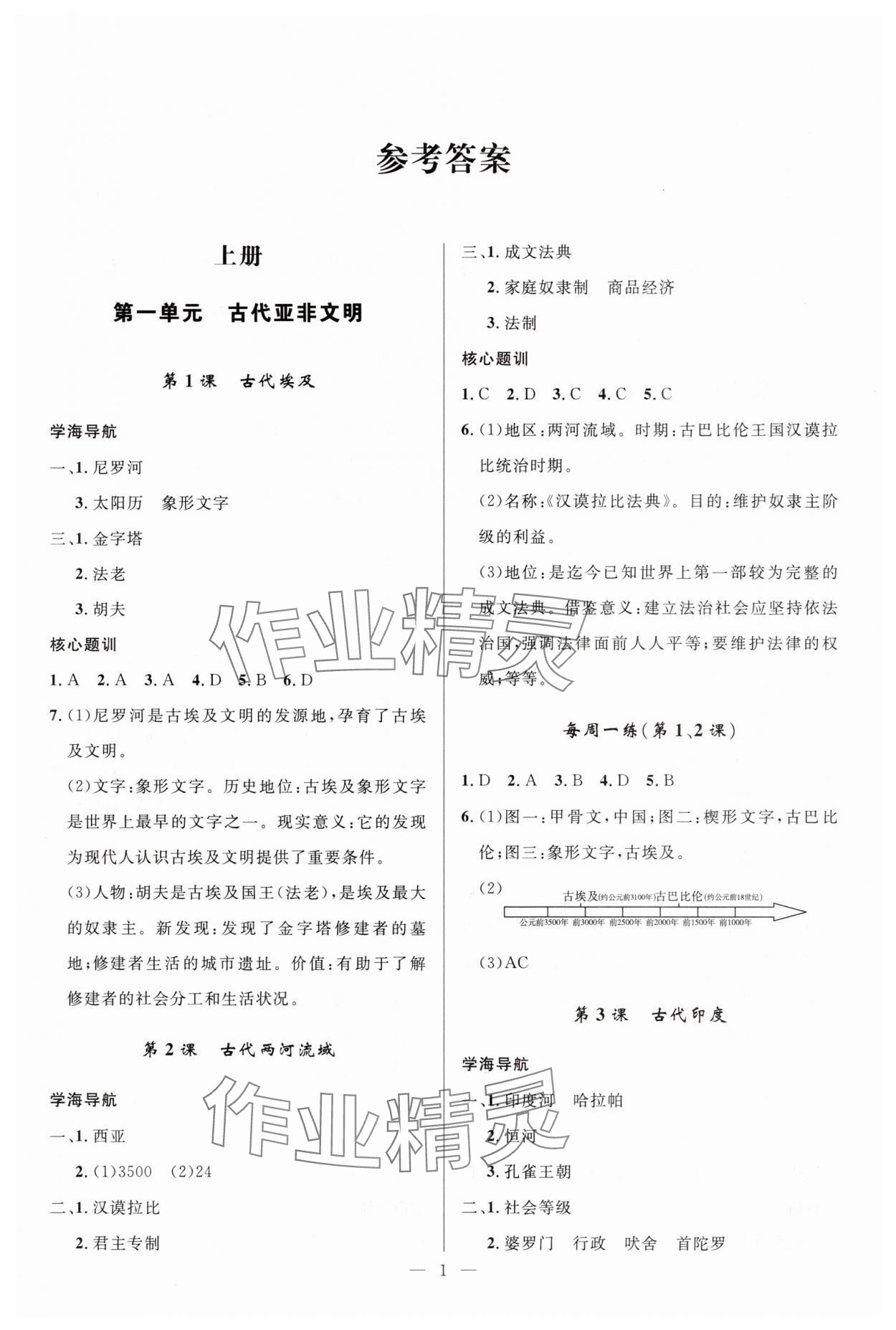 2025年顶尖课课练九年级历史上册人教版贵州专版 第1页