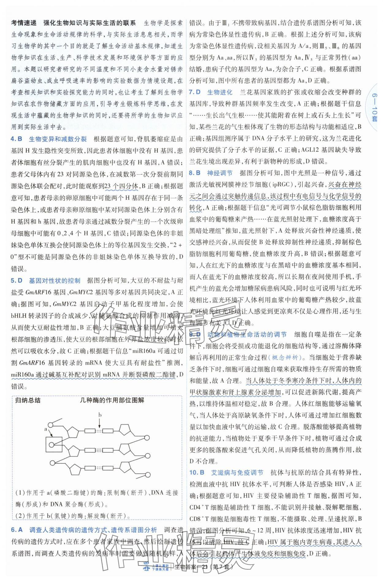 2025年高考沖刺優(yōu)秀模擬試卷匯編45套生物 第21頁