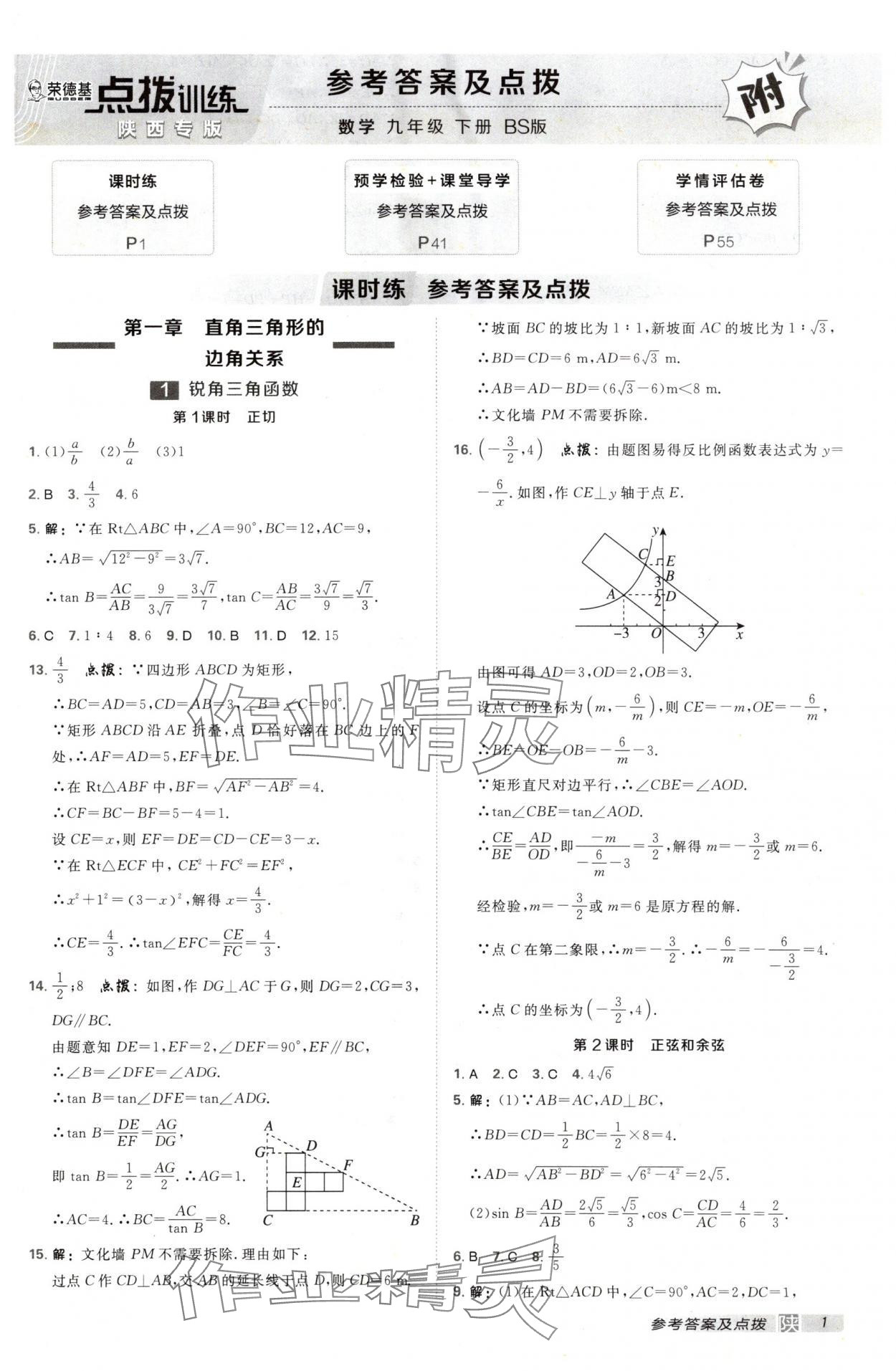 2025年点拨训练九年级数学下册北师大版陕西专版 第1页